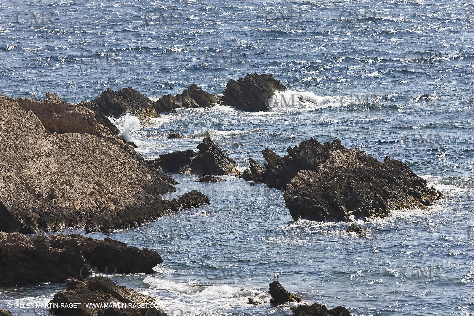 26 06 09 - Sanary sur mer (FRA,83)
