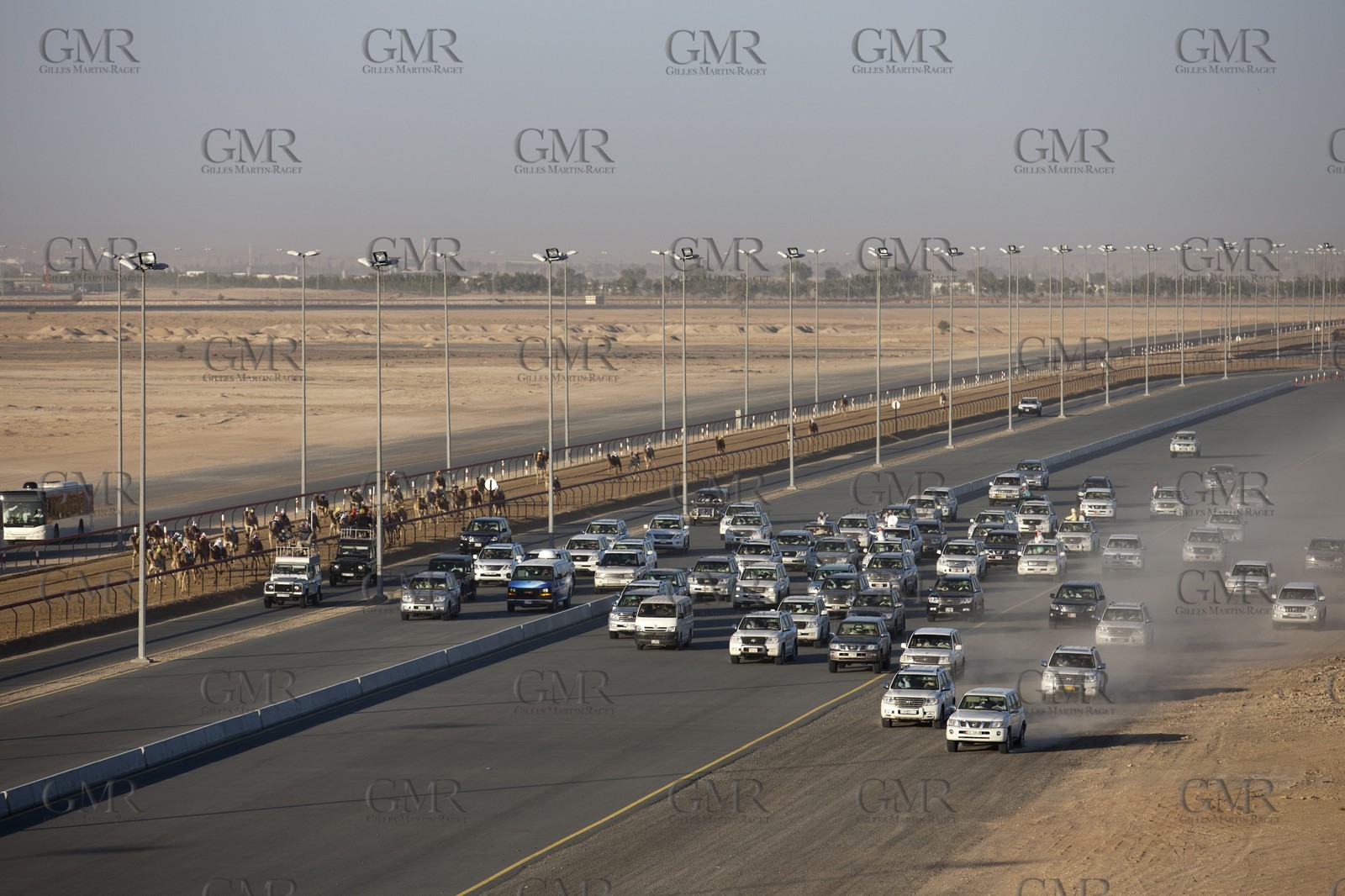 20 11 2010 - Dubai (UAE) - Camel races
