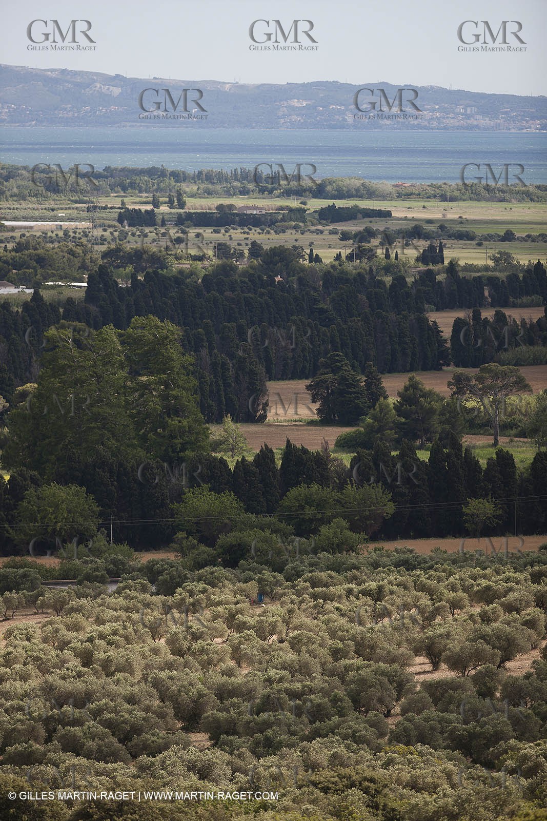 13 06 2012 - Lançon de Provence (FRA,13) - Domaine de Chateau Calissanne