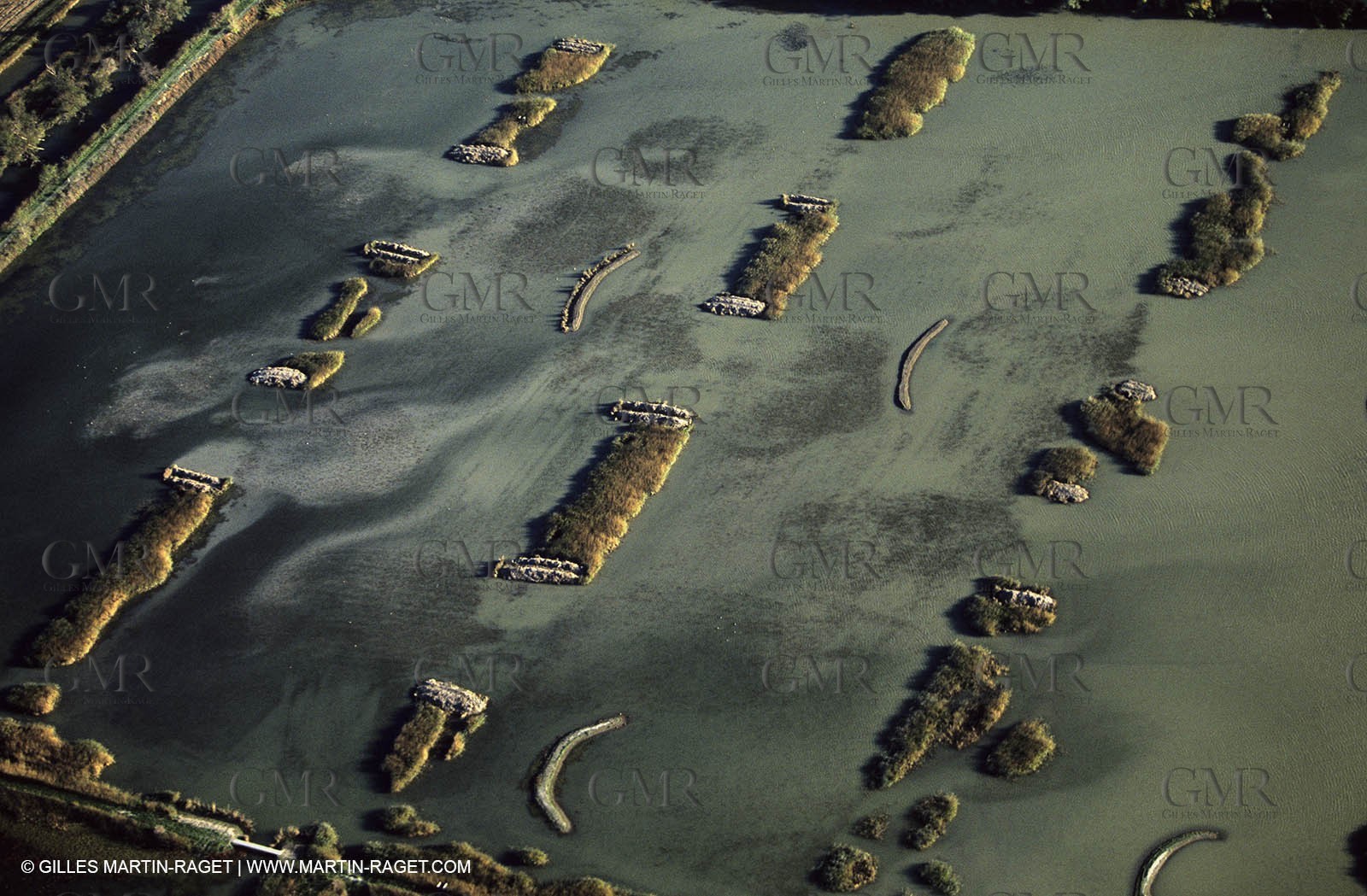 Ponds from Camargue