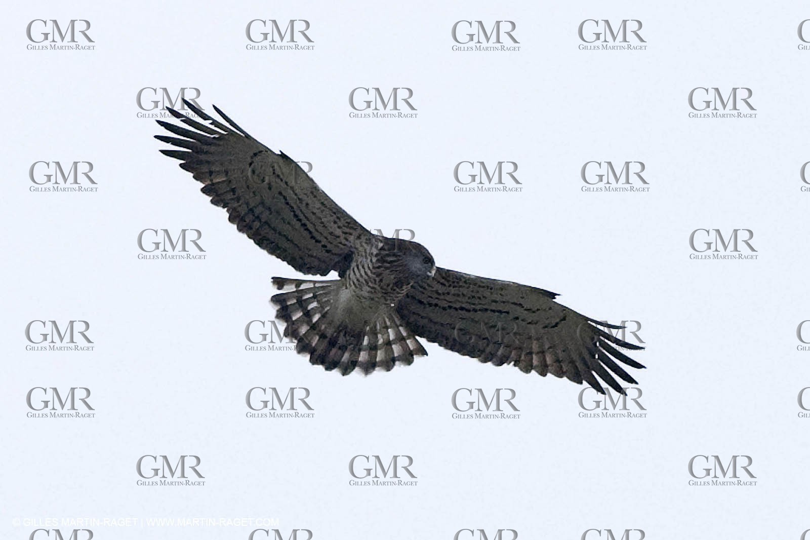 16 04 2009 - Marseille (FRA, 13) - Les Calanques