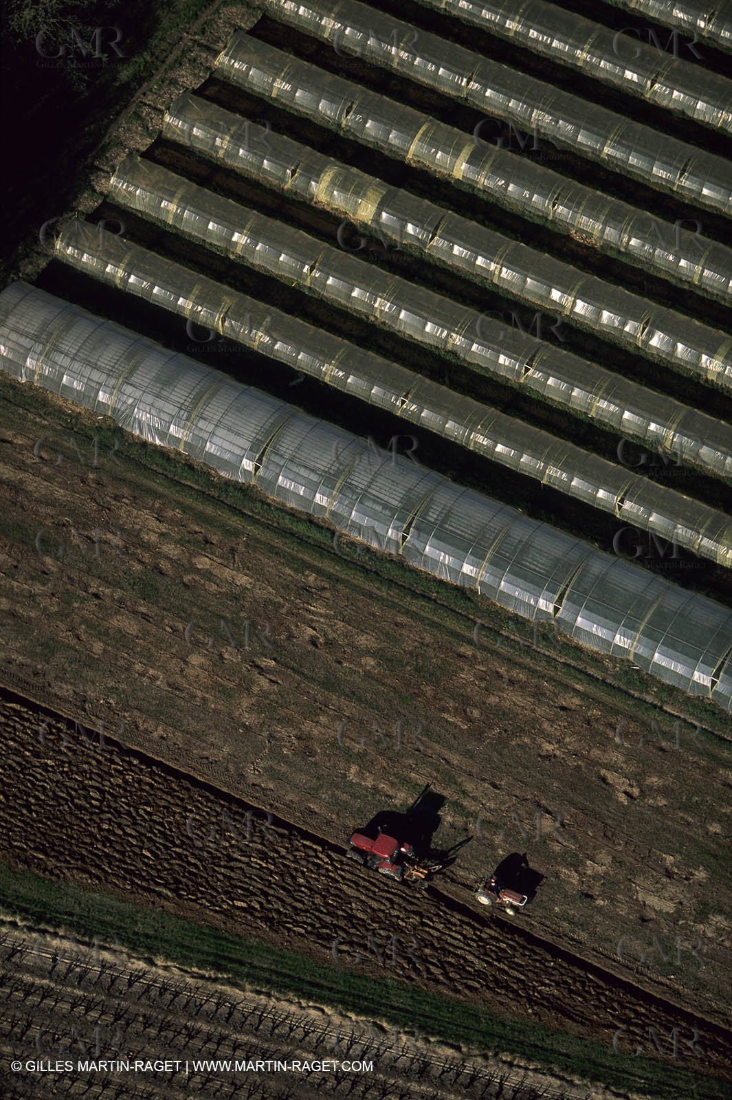 Agriculture nearby Charleval
