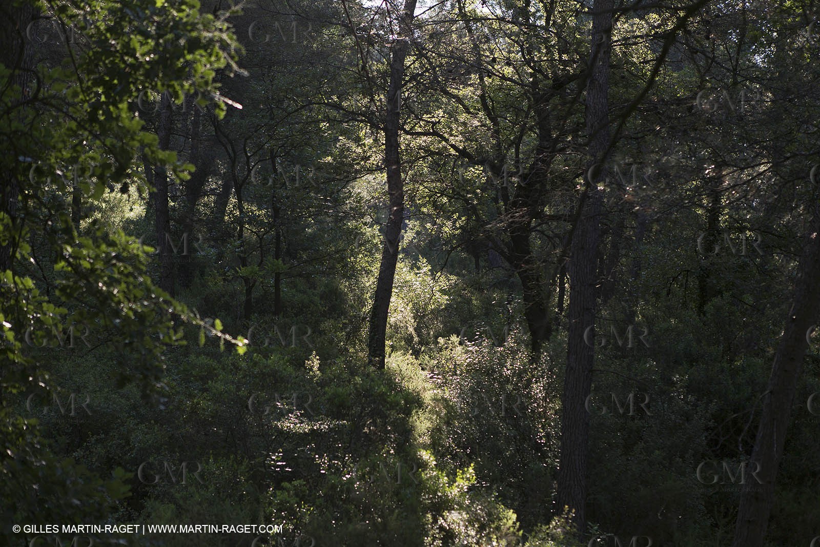 15 06 2012 - Cadolive (FRA,13)