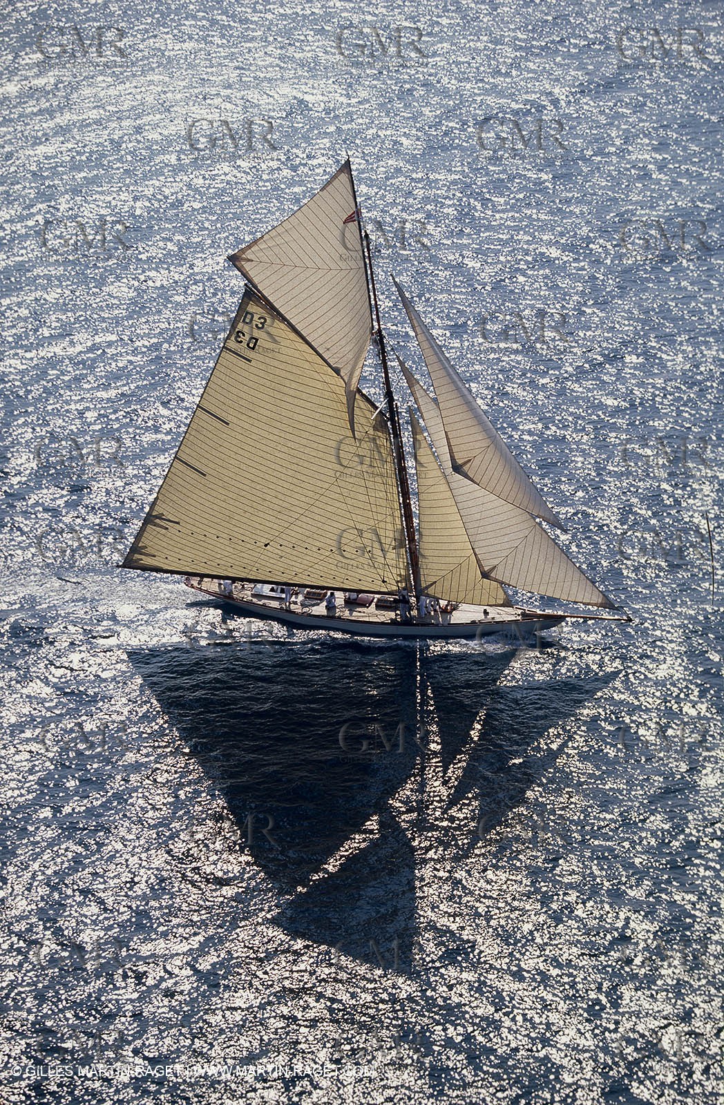 Tuiga