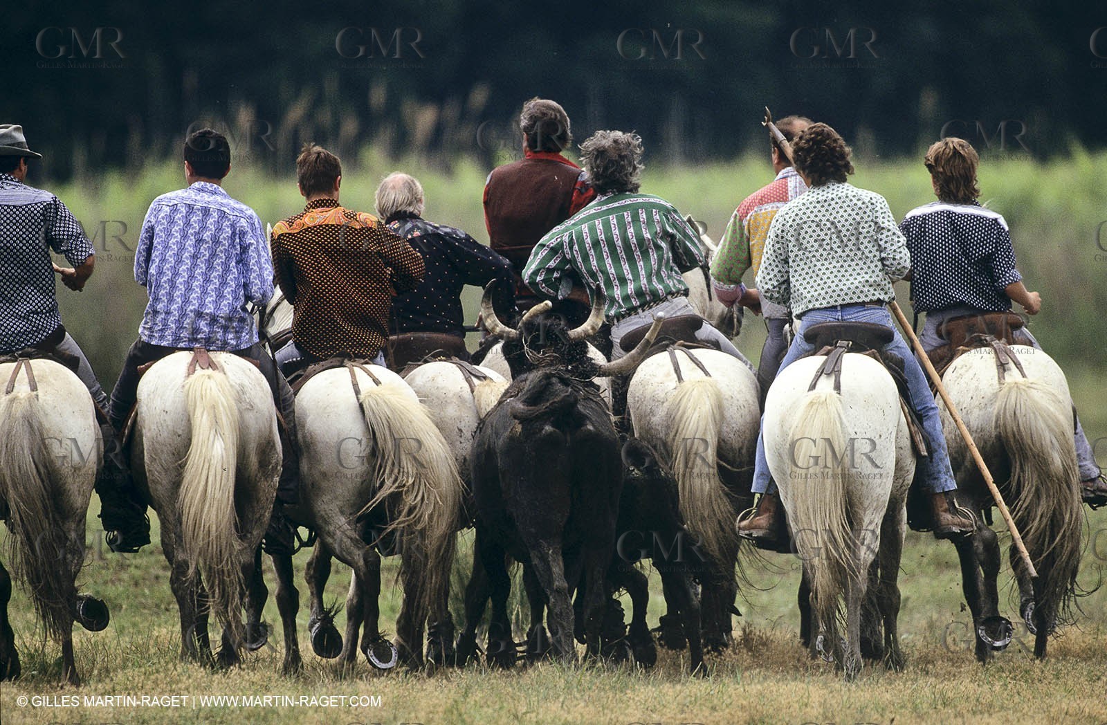 Camargue (FRA,13) - Gardians