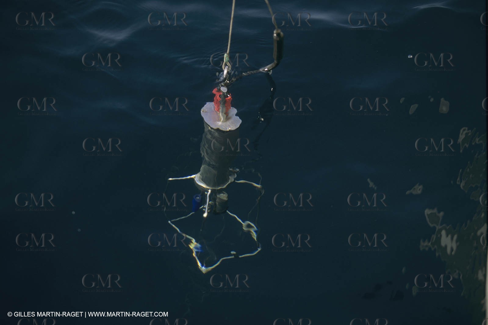 France, Provence, Marseille, Station Marine d'Endoume, centre de recherche Océacnographique