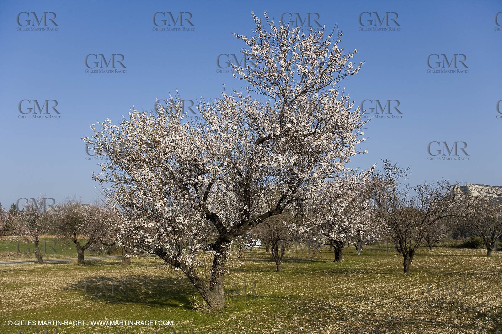 16 02 2008 - Les Baux de Provence (FRA, 13) - Alpilles hills landscapes
