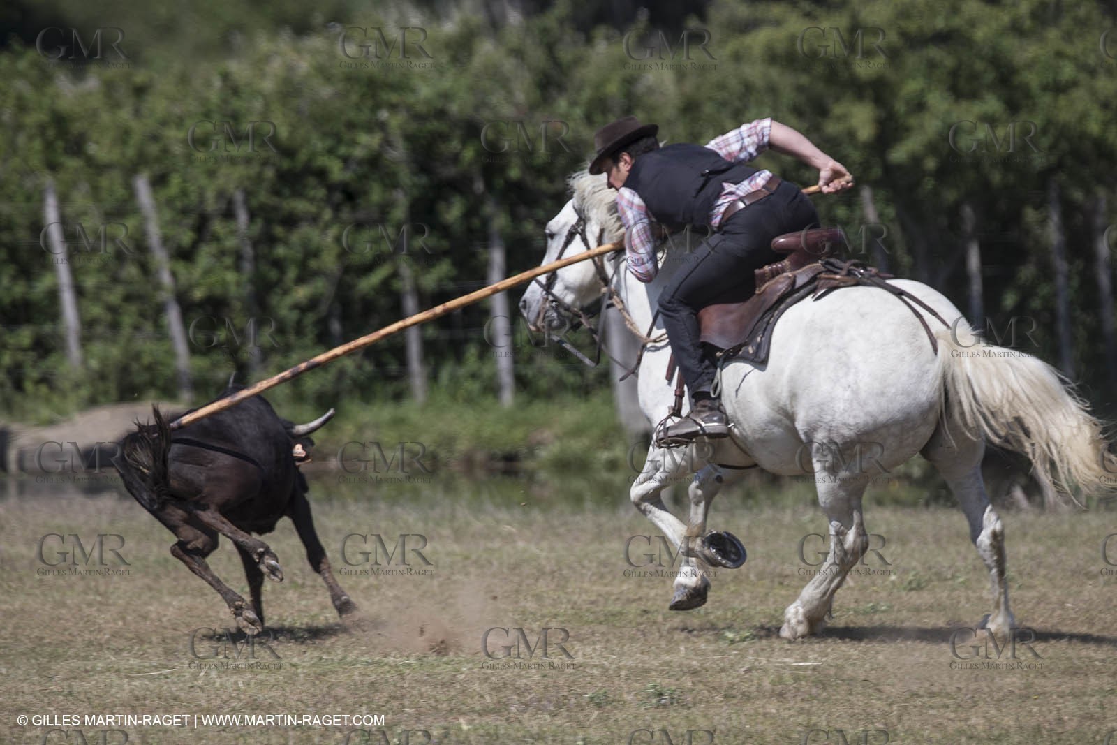 Course de Satin 2014 - Arles (FRA,13) - 1 06 2014**The satin race - Arles (FRA,13) - 01 06 2014