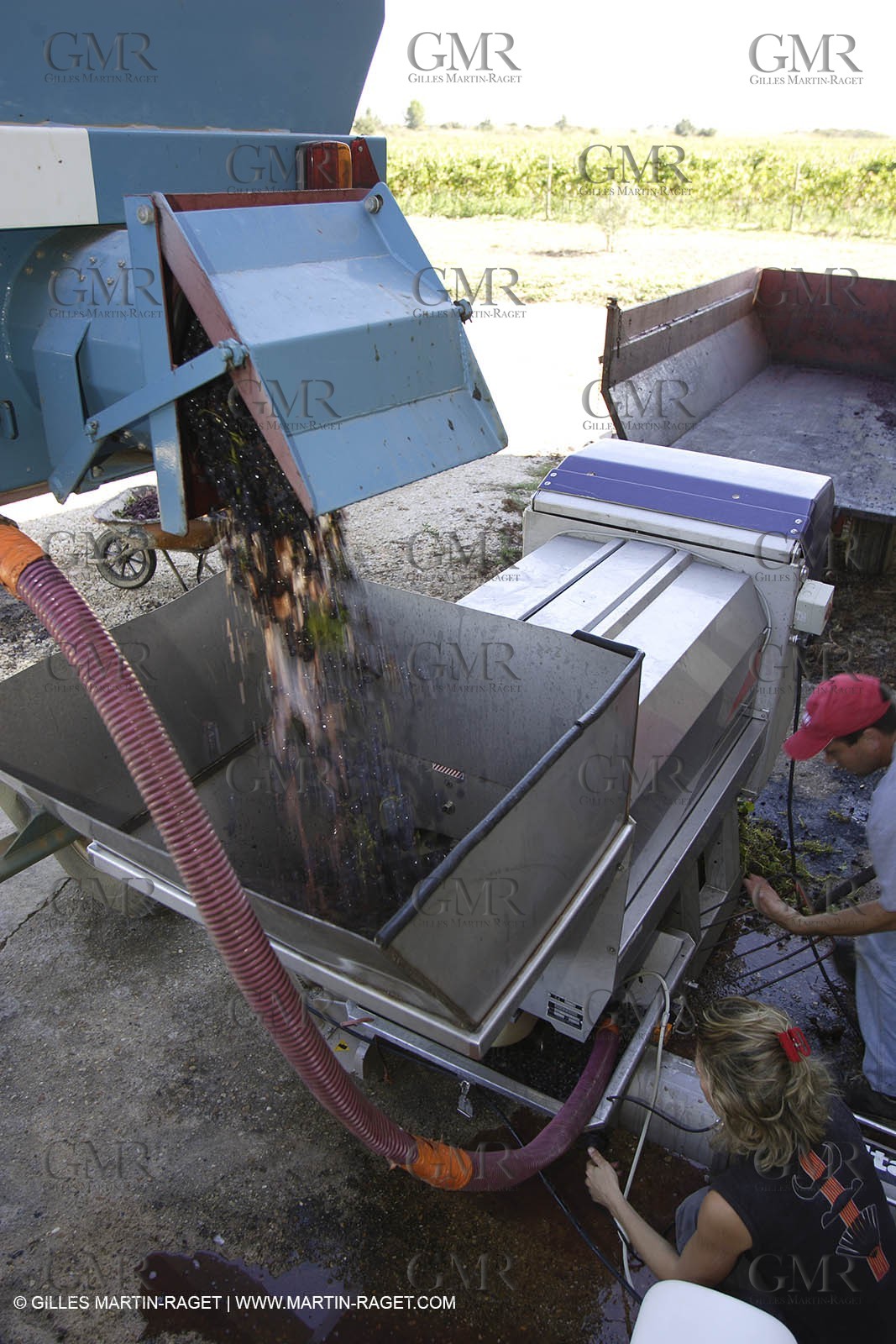 Harvest - D'or et de Gueule castle
