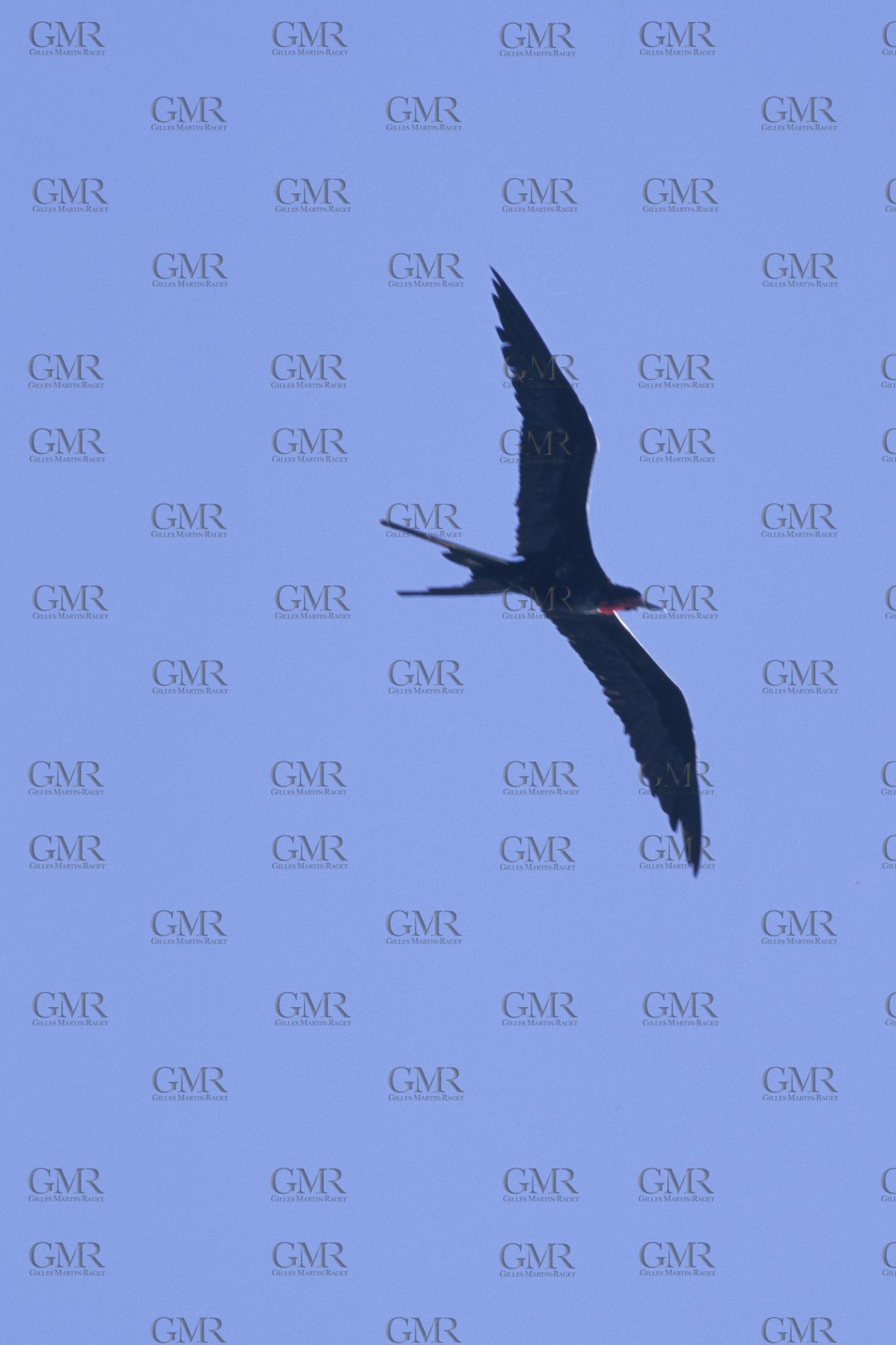 Destinations, Indian Ocean, The Seychelles