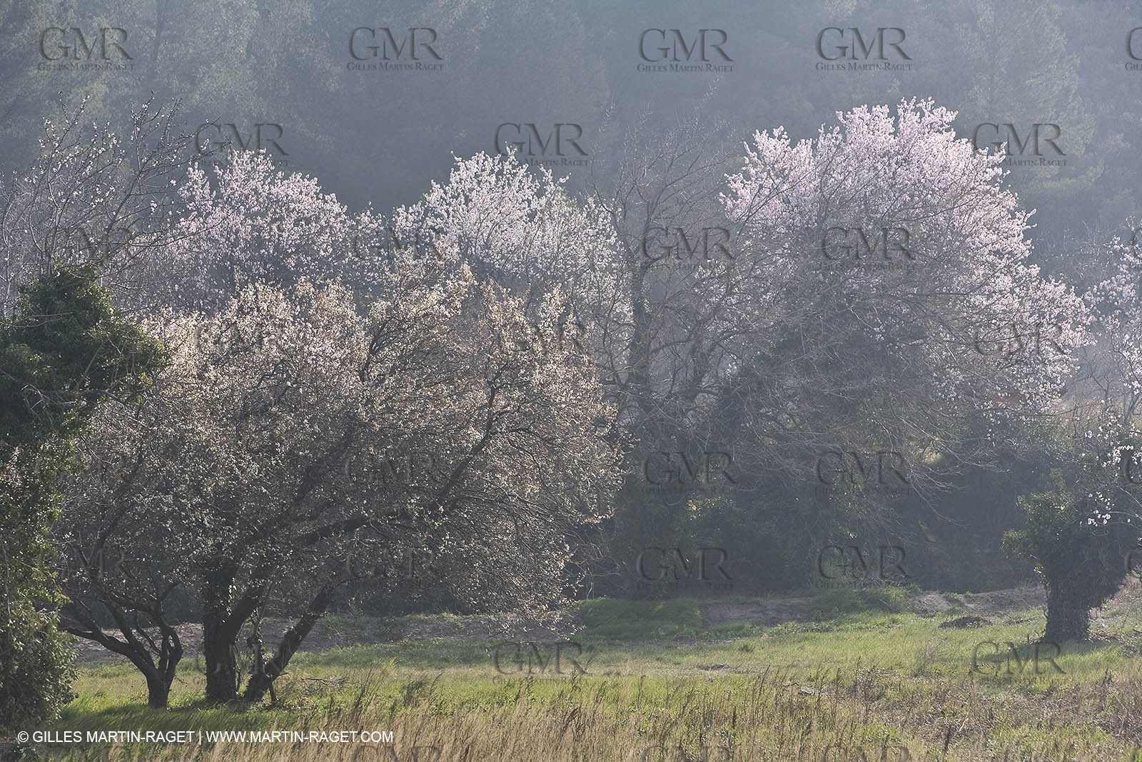 16 02 2008 - Les Baux de Provence (FRA, 13) - Alpilles hills landscapes