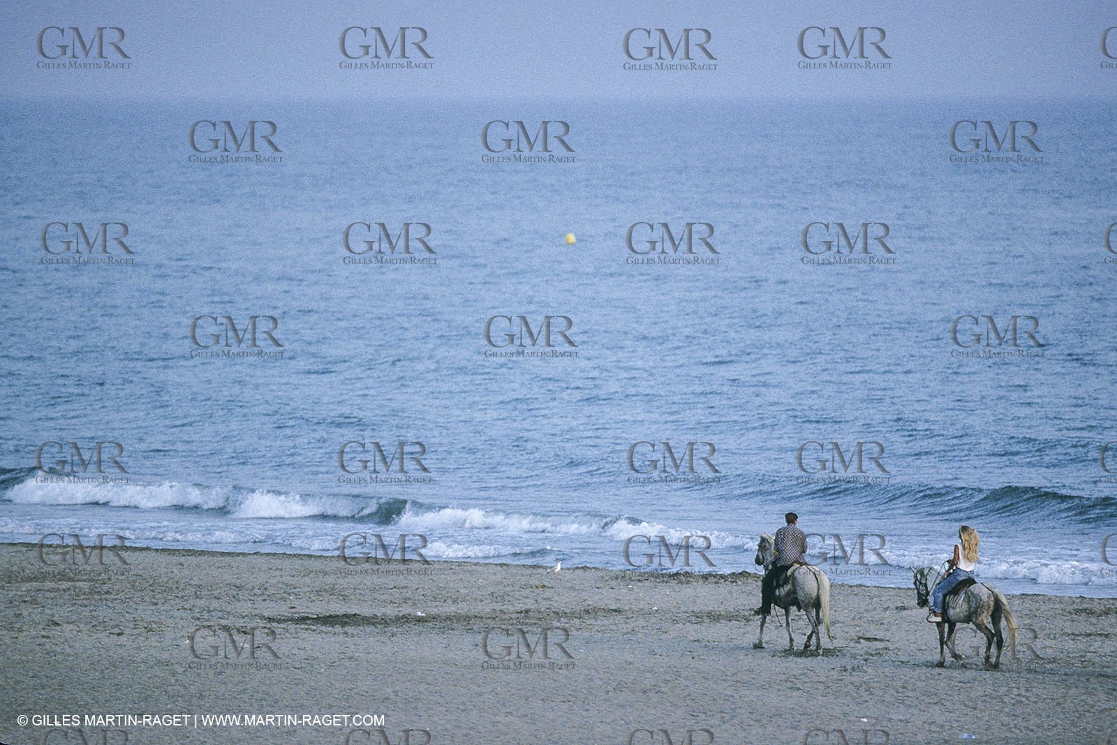 France, Provence, Gardians de Camargue