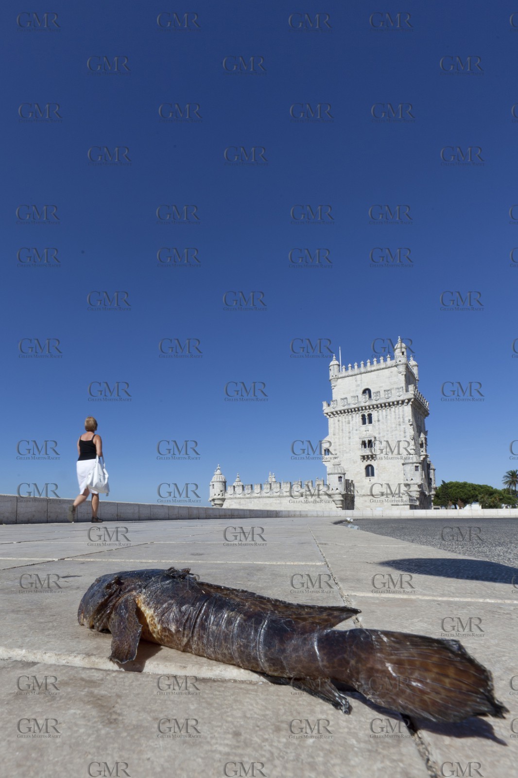 13 07 2011 - Cascais (POR) - 34th America's Cup - AC World Series - Cascais 2011 - Lisbon, Belem tower