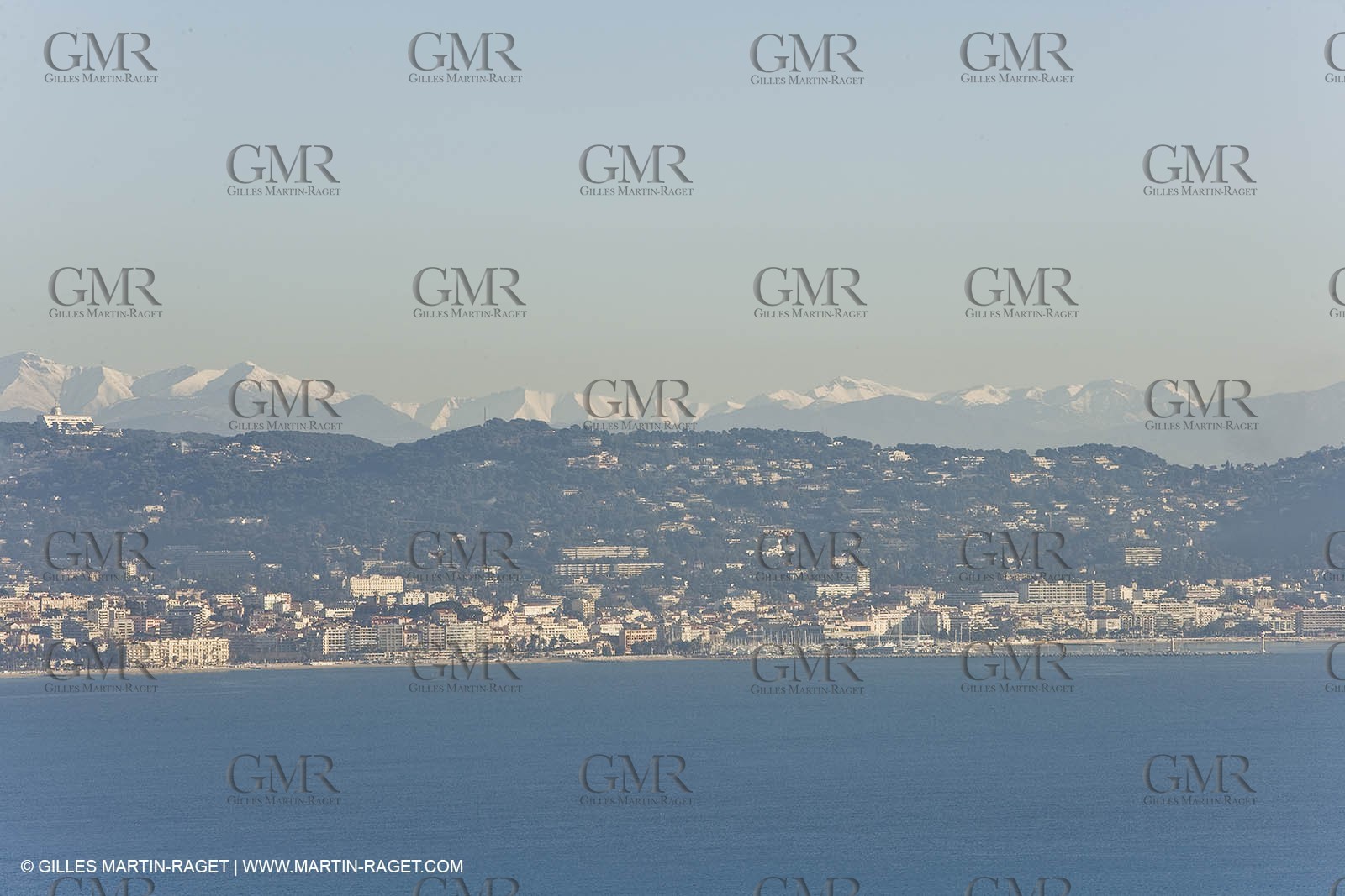 06 02 2008 - Théoule sur mer (FRA, 06) - Mimoses in full flower