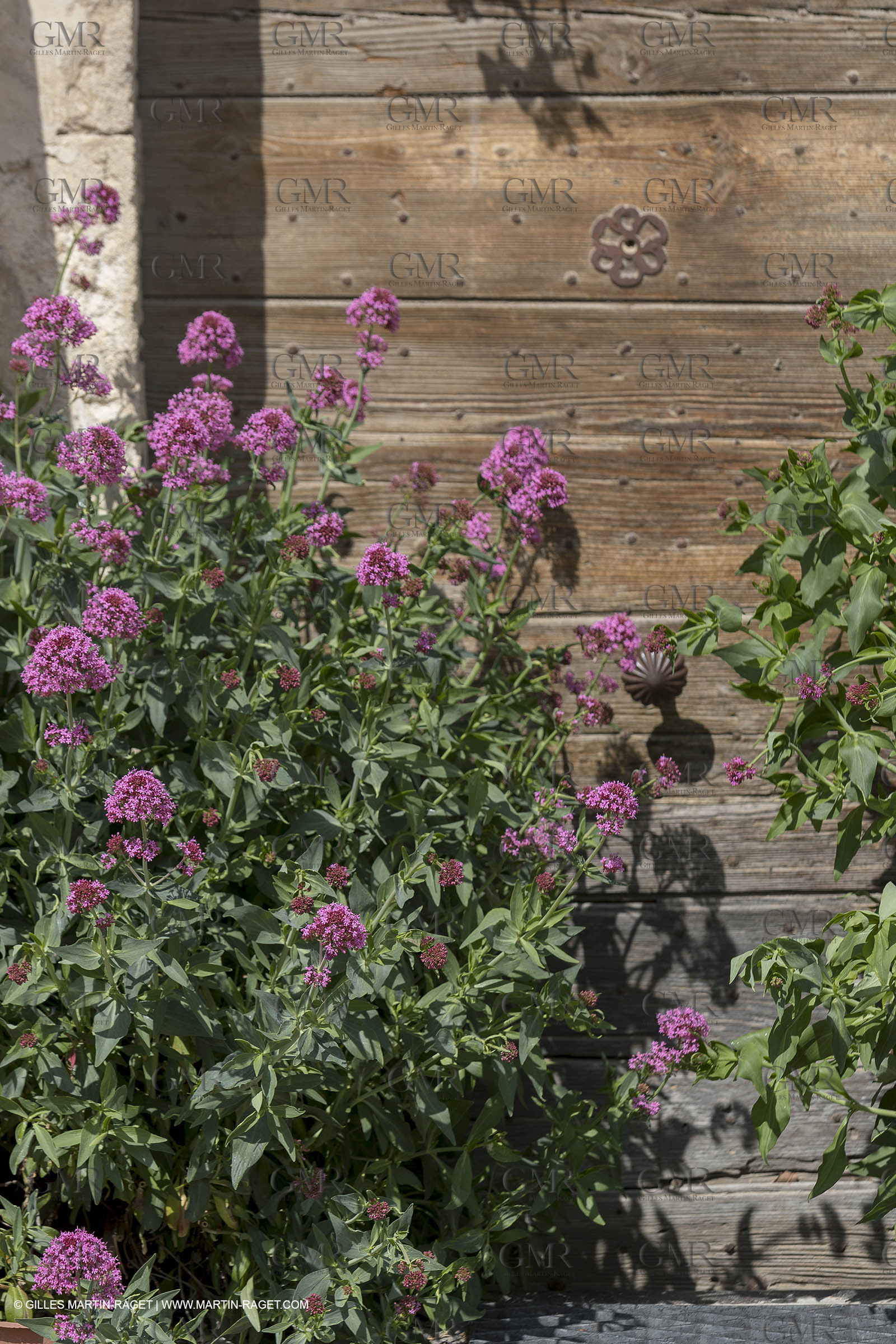 19 04 2018, Oppède Le Vieux (FRA,84)