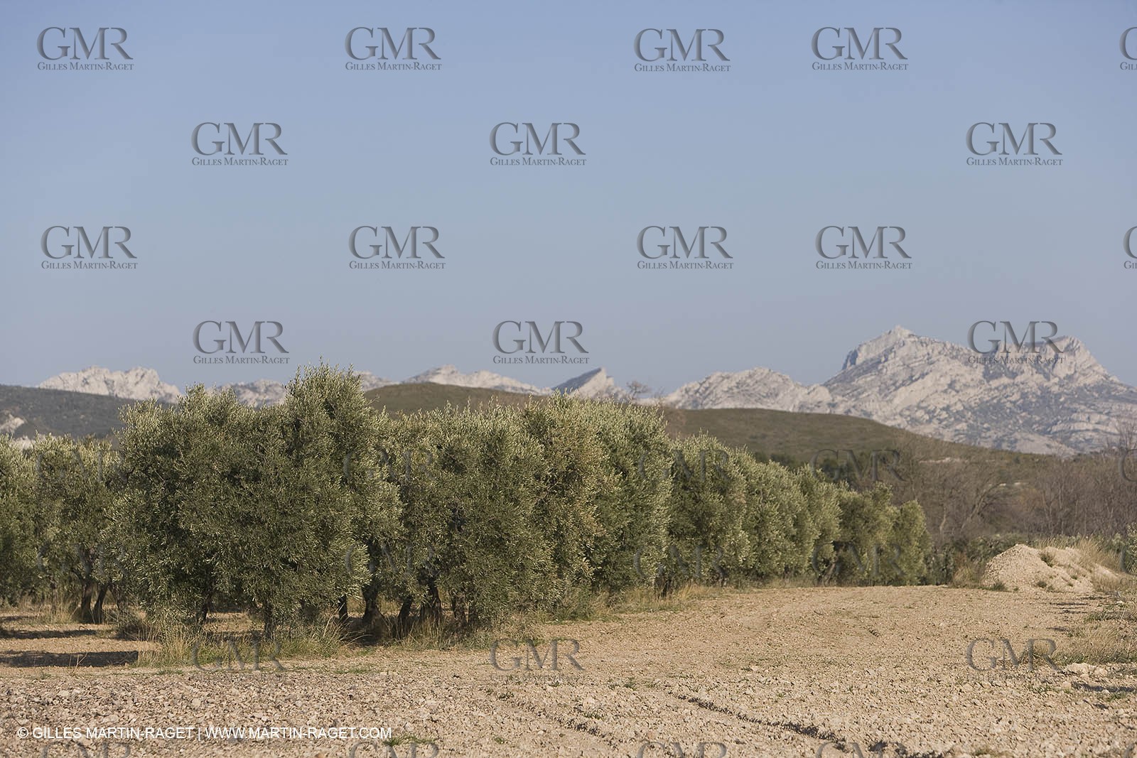 16 02 2008 - Les Baux de Provence (FRA, 13) - Alpilles hills landscapes
