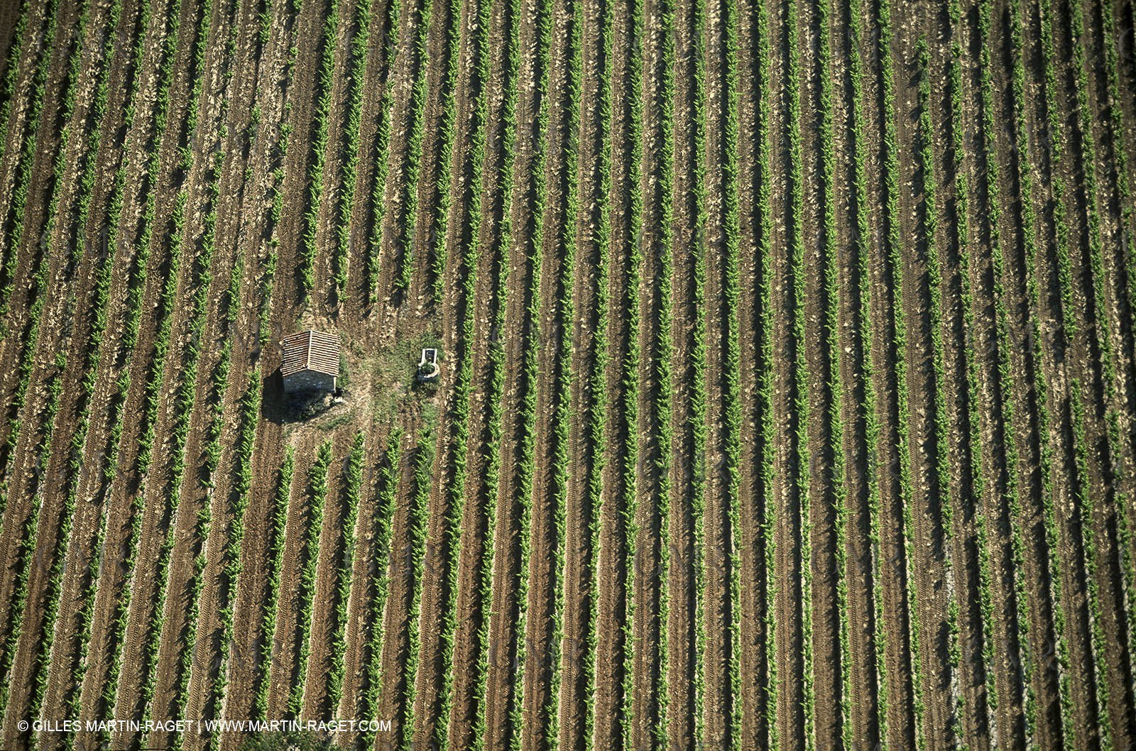 Aix en Provence area - Puyloubier