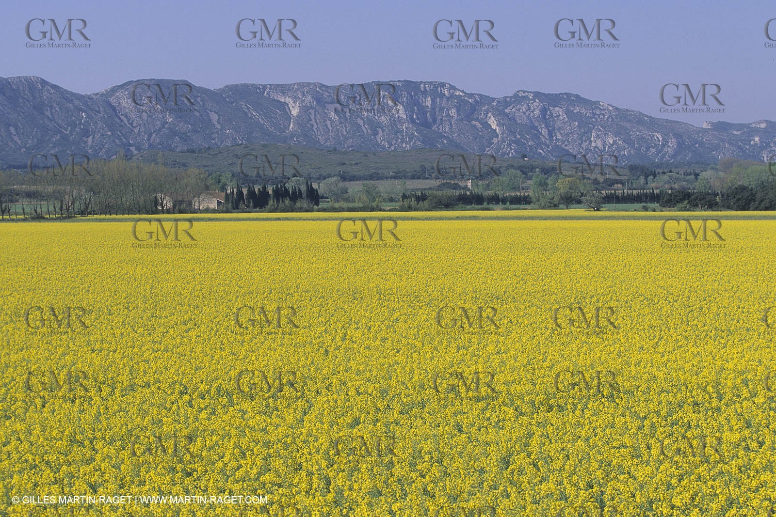 France, south, Alpilles landscapes