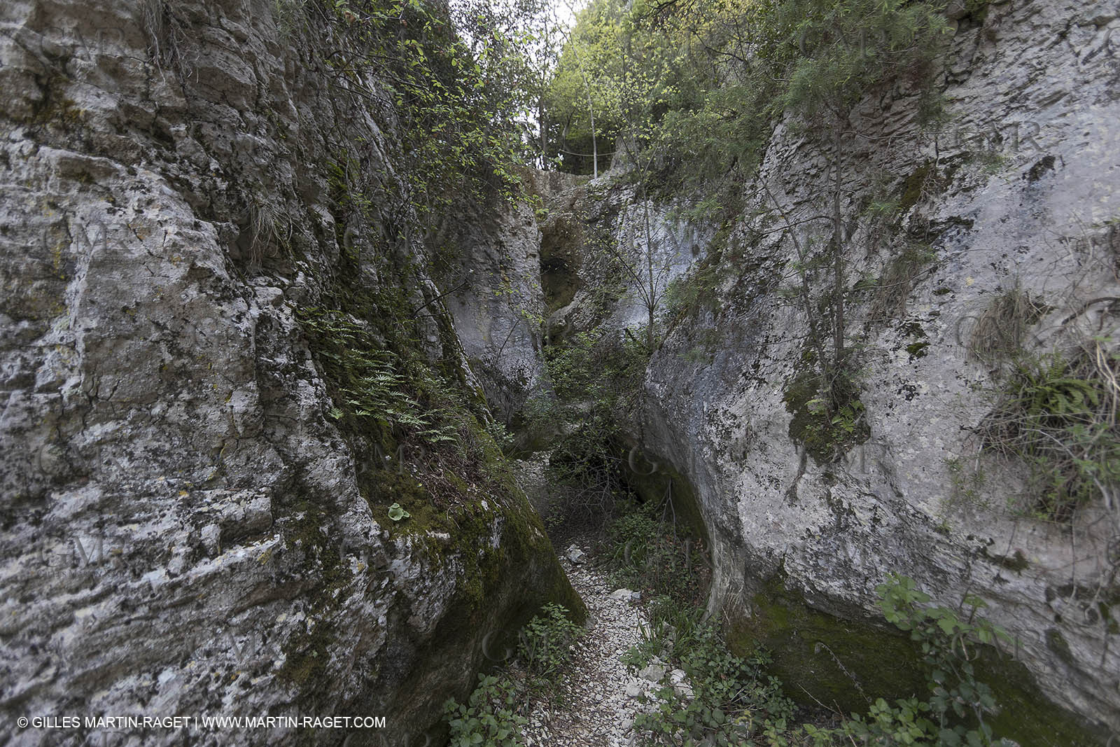 Gorges de la Véroncle (près de Gordes)