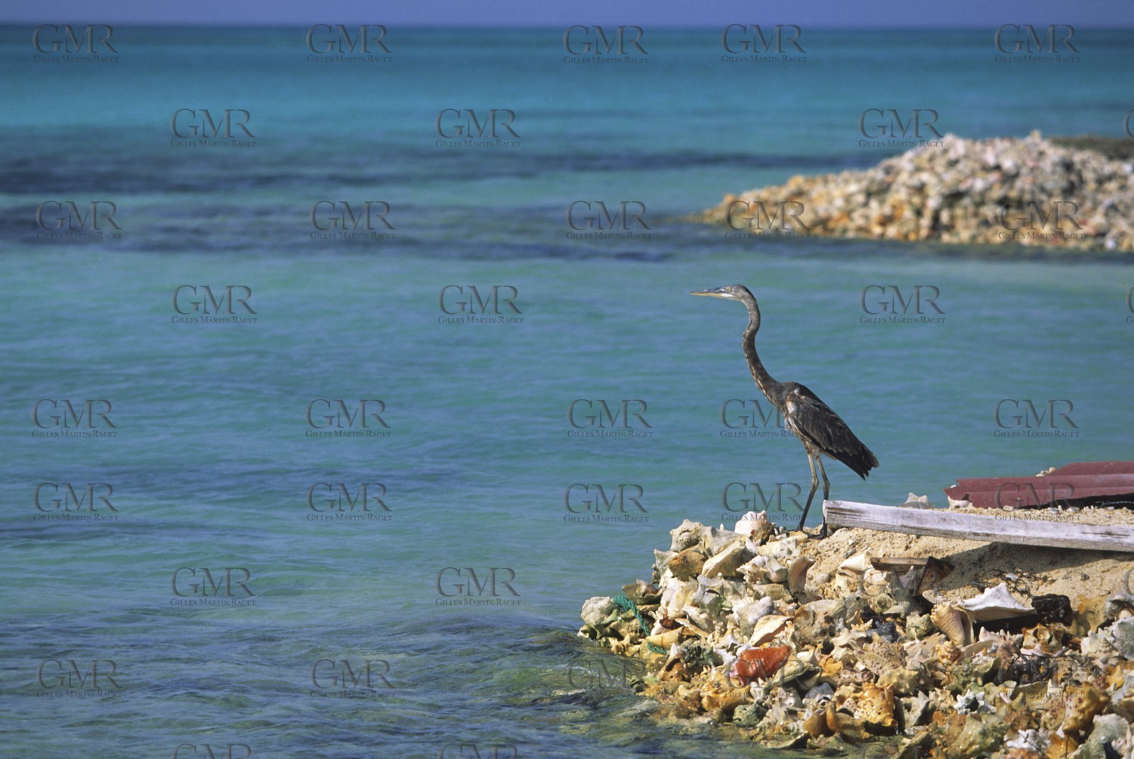 Los Roquès - Caribbean