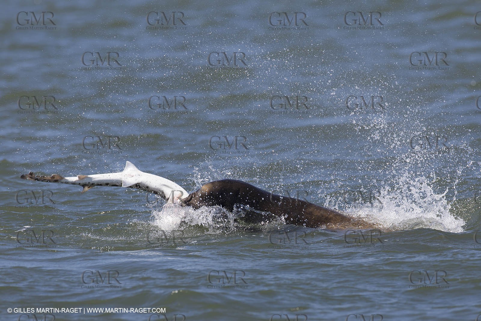 19 09 2013 - San Francisco (USA,CA) - 34th America's Cup - Final Match - Racing Day 9.