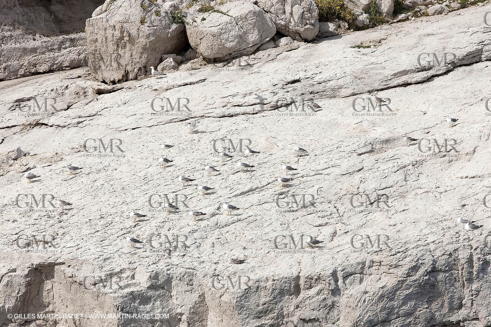 05 05 2009 - Marseille (FRA, 13) - Les Calanques - Riou island