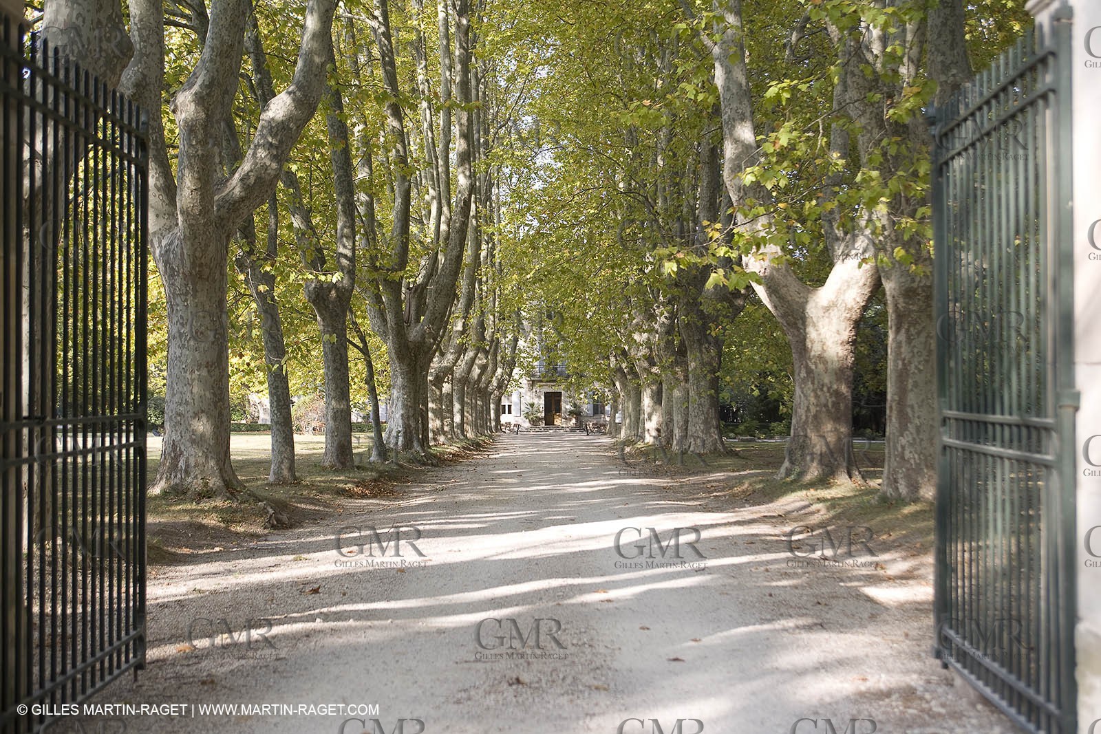 28 10 2007 - St Rémy de Provence (FRA,13) - Chateau des Alpilles