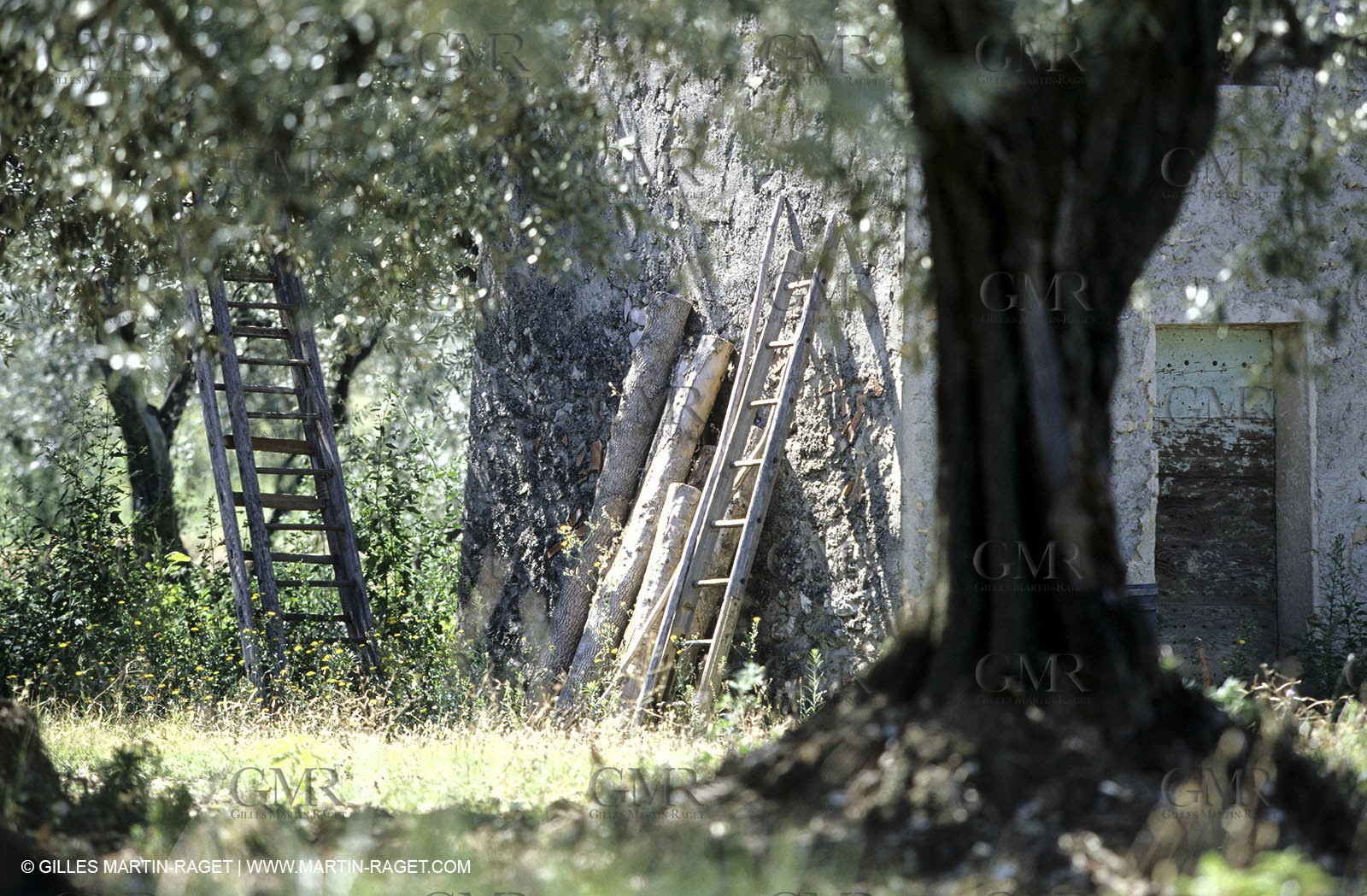 Côtes du Rhône - Nyons