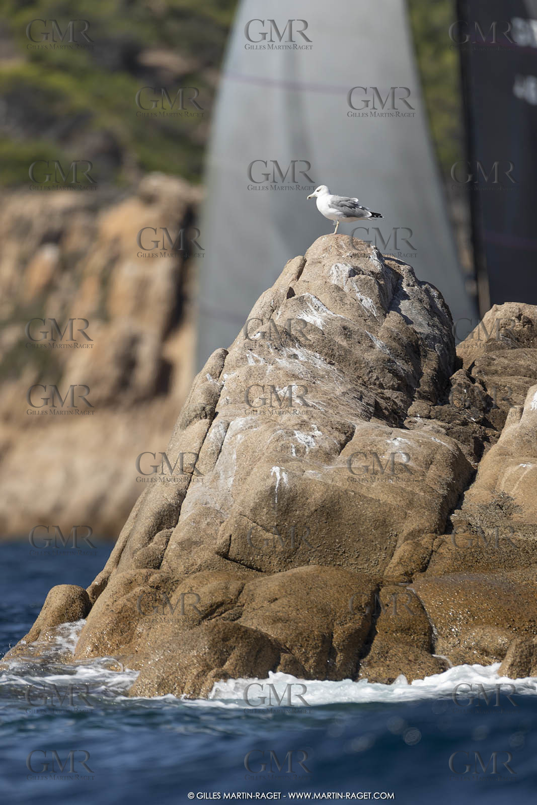 26 09 2022, Saint-Tropez (FRA,83), Voiles de Saint-Tropez 2022, Premier jour de course pour les IRC - ENtraînements pour les classiques