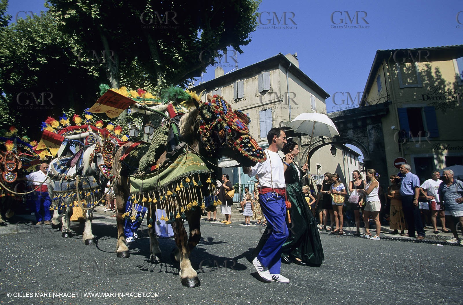Saint Rémy de Provence (FRA,13) - Careto ramado (charrette fleurie)