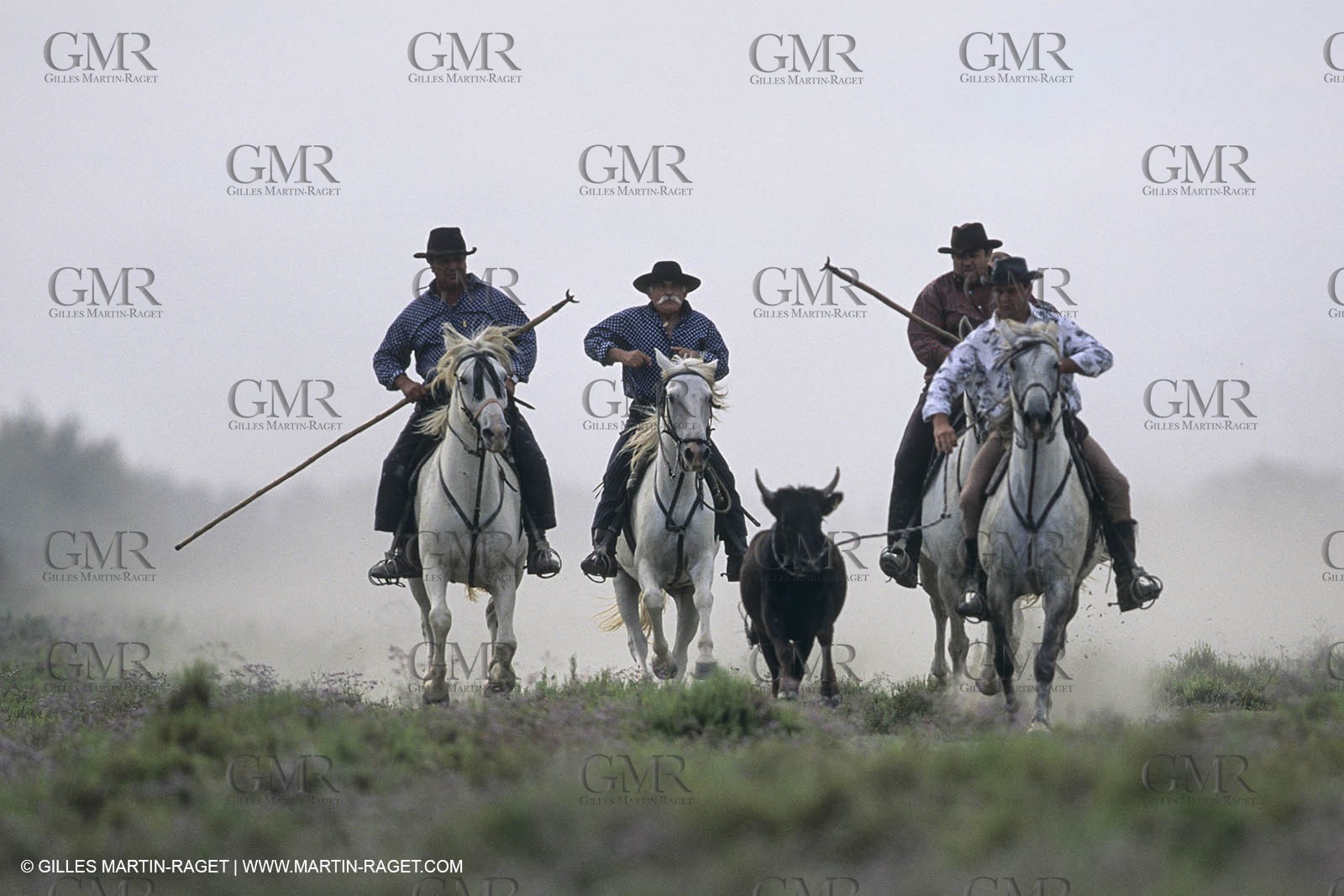 France, Provence, Camargue, Gardians de Camargue, métier, fêtes, élevage, tri