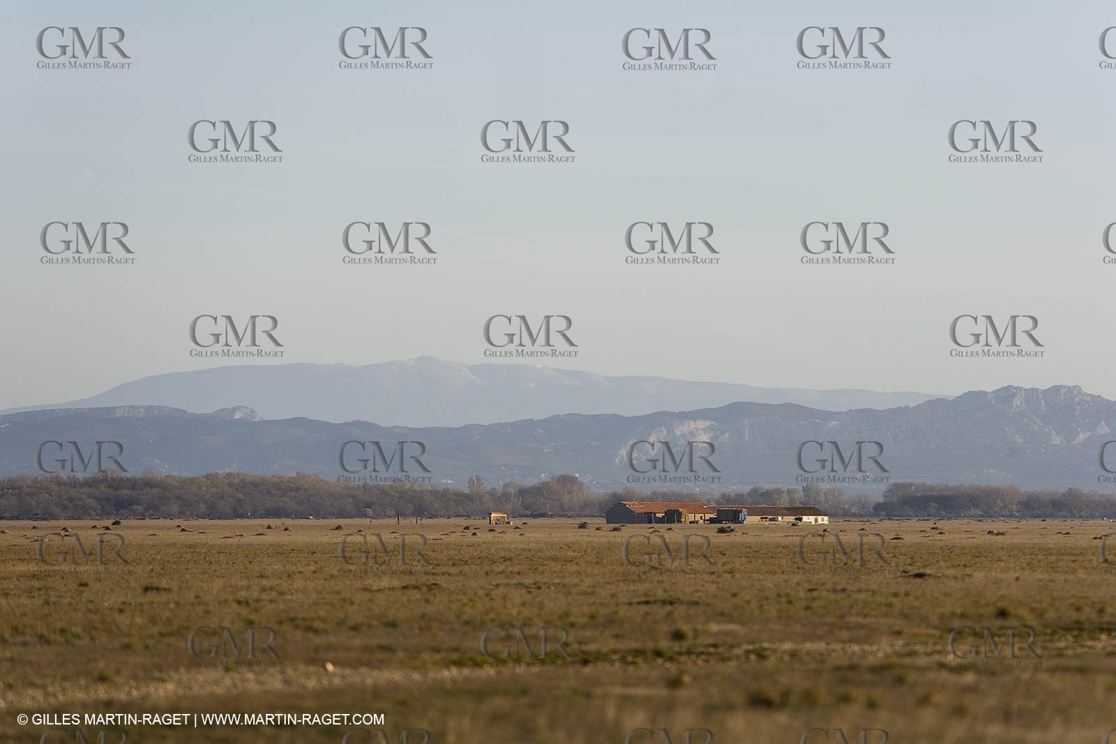 04 03 2007 - Saint Martin de Crau (FRA) - la Crau plain with Alpilles hills and Mont Ventoux in background.
