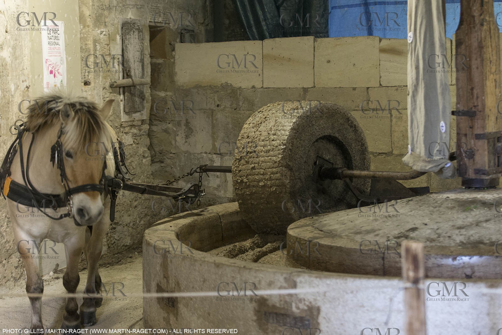 14 11 2015, Saint-Etienne du Grès (FRA,13), traditional making of olive oil at La Croix mill