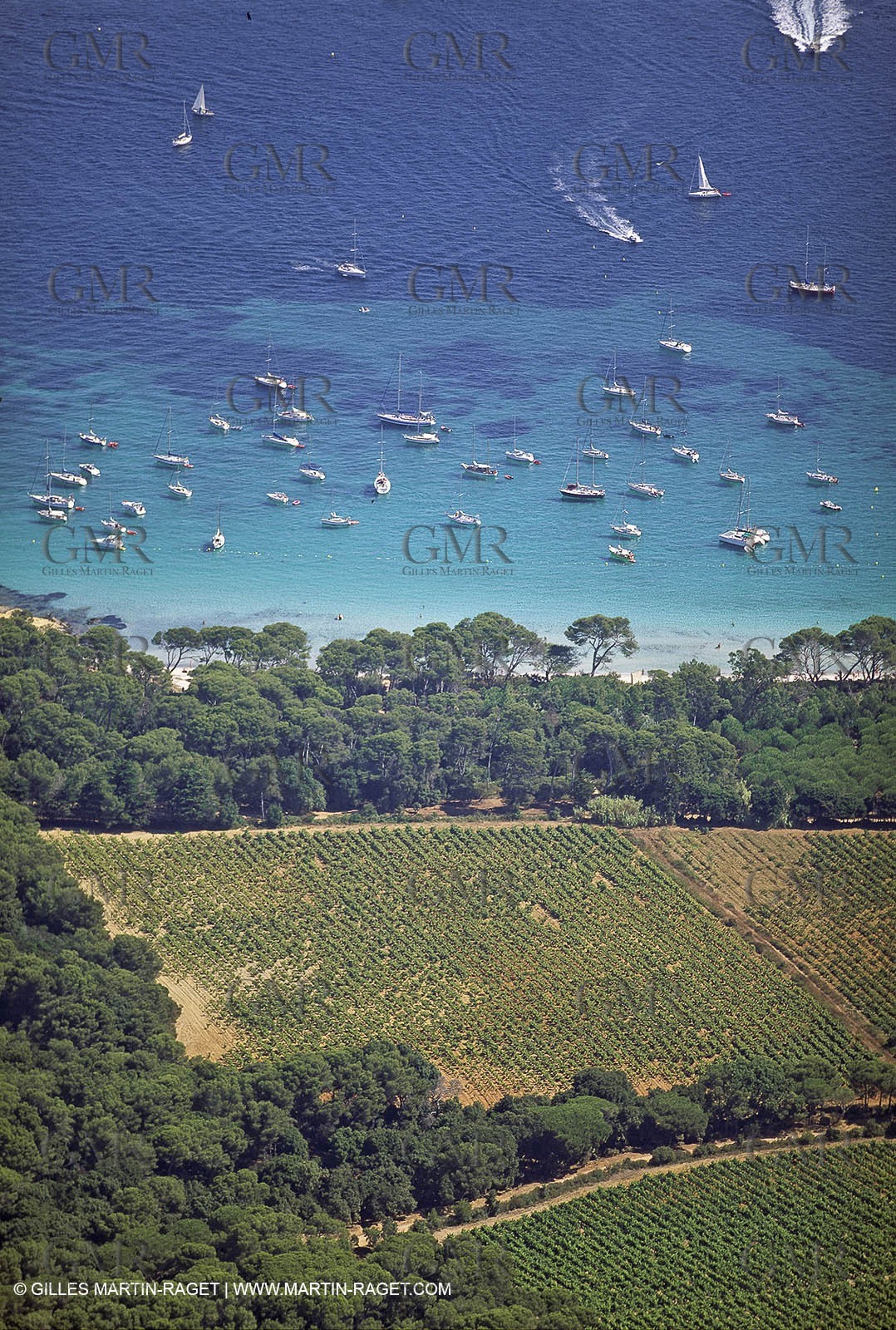 France - Var - 83 - Hyeres islands - Porquerolles