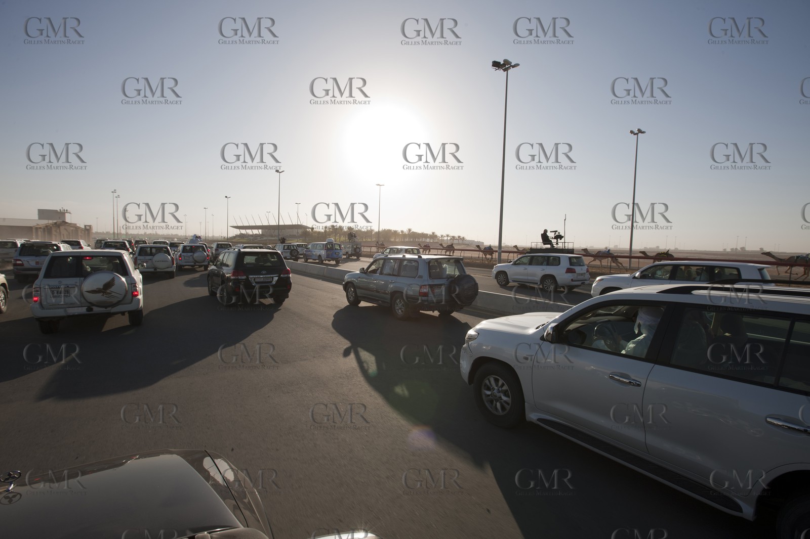 20 11 2010 - Dubai (UAE) - Camel races