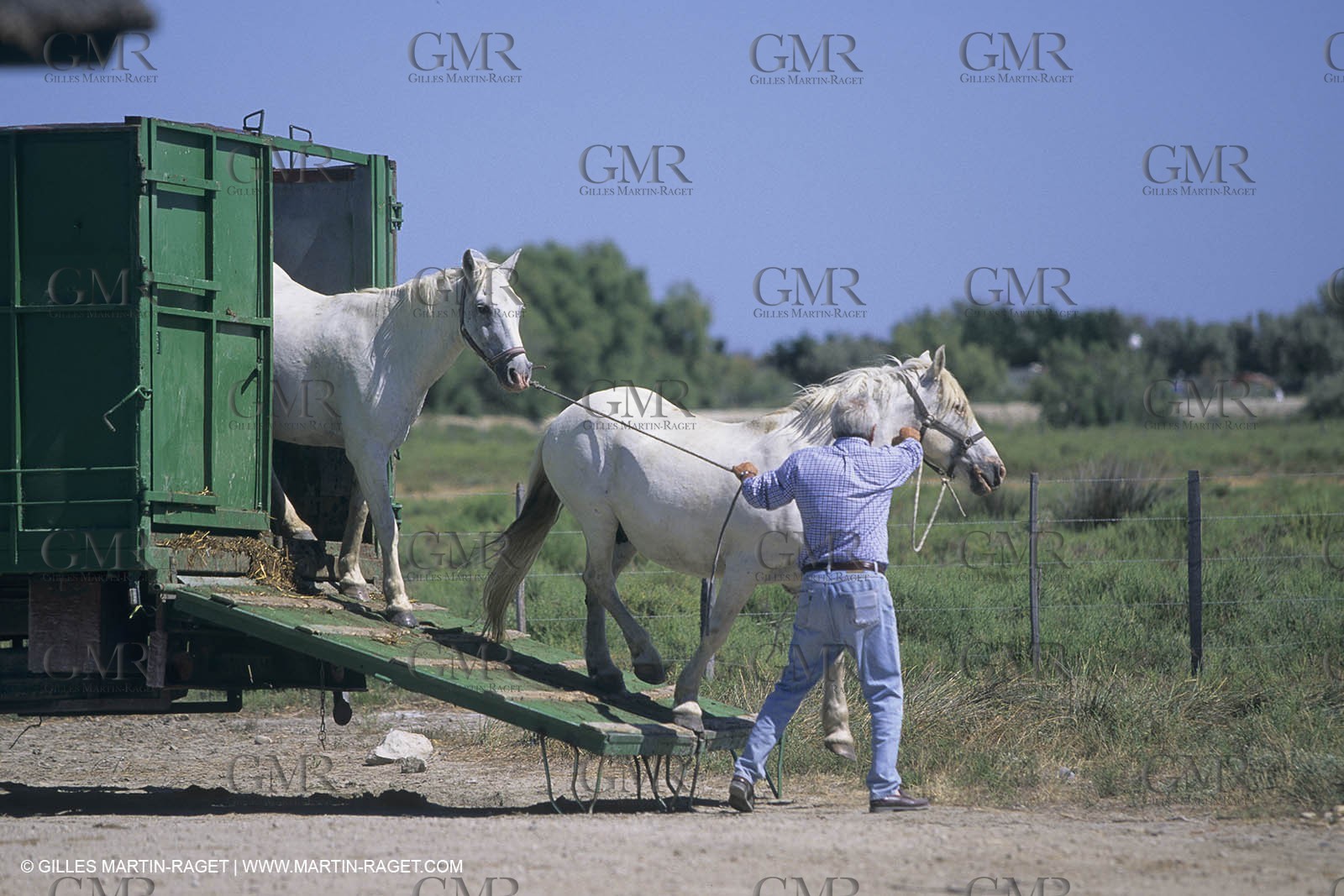 France, Provence, Camargue, Gardians de Camargue, métier, fêtes, élevage, tri