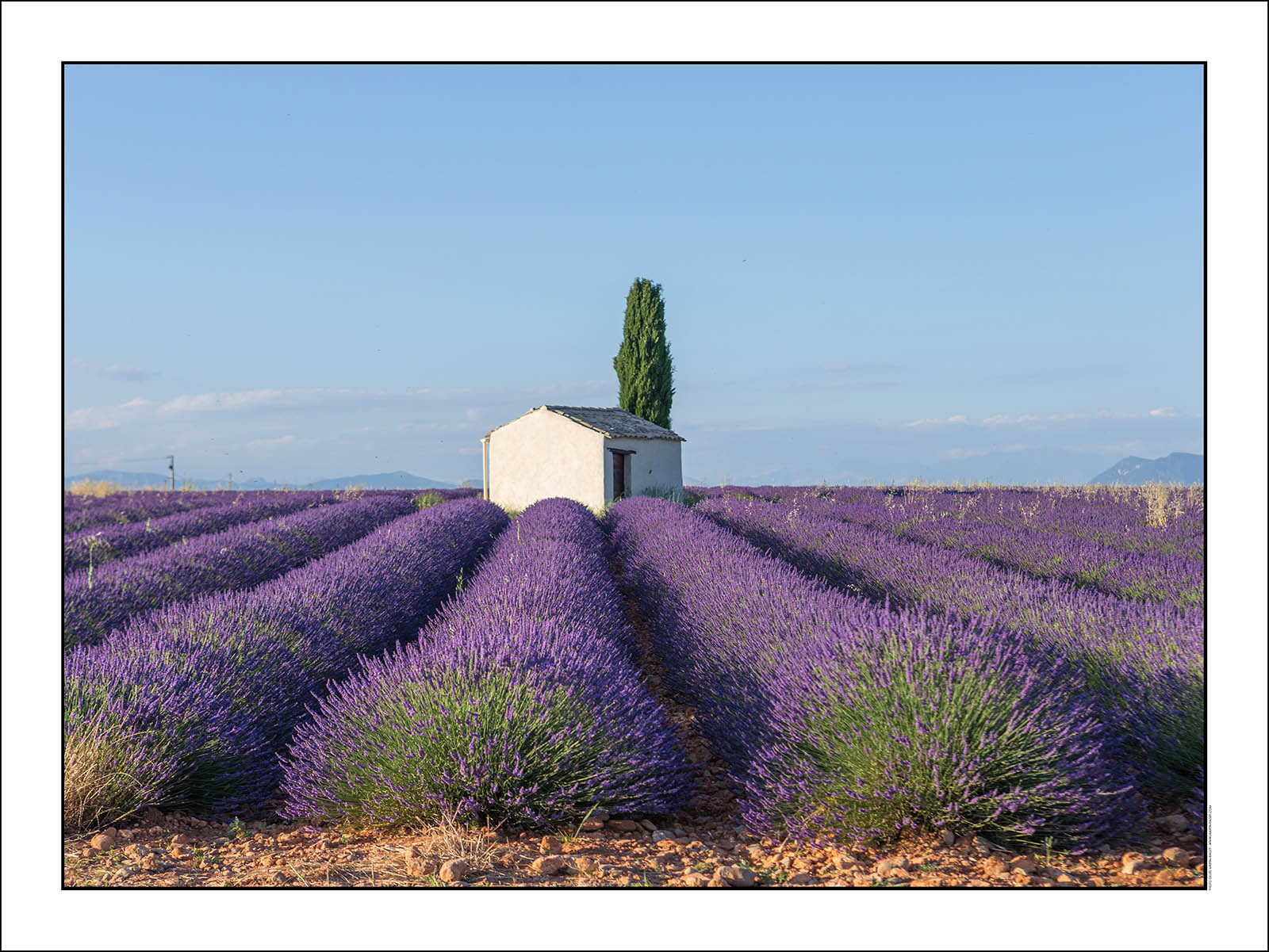 Product: in house made quality print on 8 ultrachome colors Epson ink Jet printer.Available sizes: . 20x30 cm. 30x40 cm. 50x70 cm. 80x120 cmAvailable papers: . Standard 250 gr glossy paper print, black streak, white margin, no signature. Top quality glossy 290 gr. paper, black streak, white margin, checked and signed by the author. Fine Art print (signed, numbered, stamped, registered) on demand. Other supports (Canvas, Acrylic, Metal) on demandPackaging: cylindric reinforced tubeShipping options: regular mail or Shipping companyClick on the basket icon to select your options and start the online ordering process