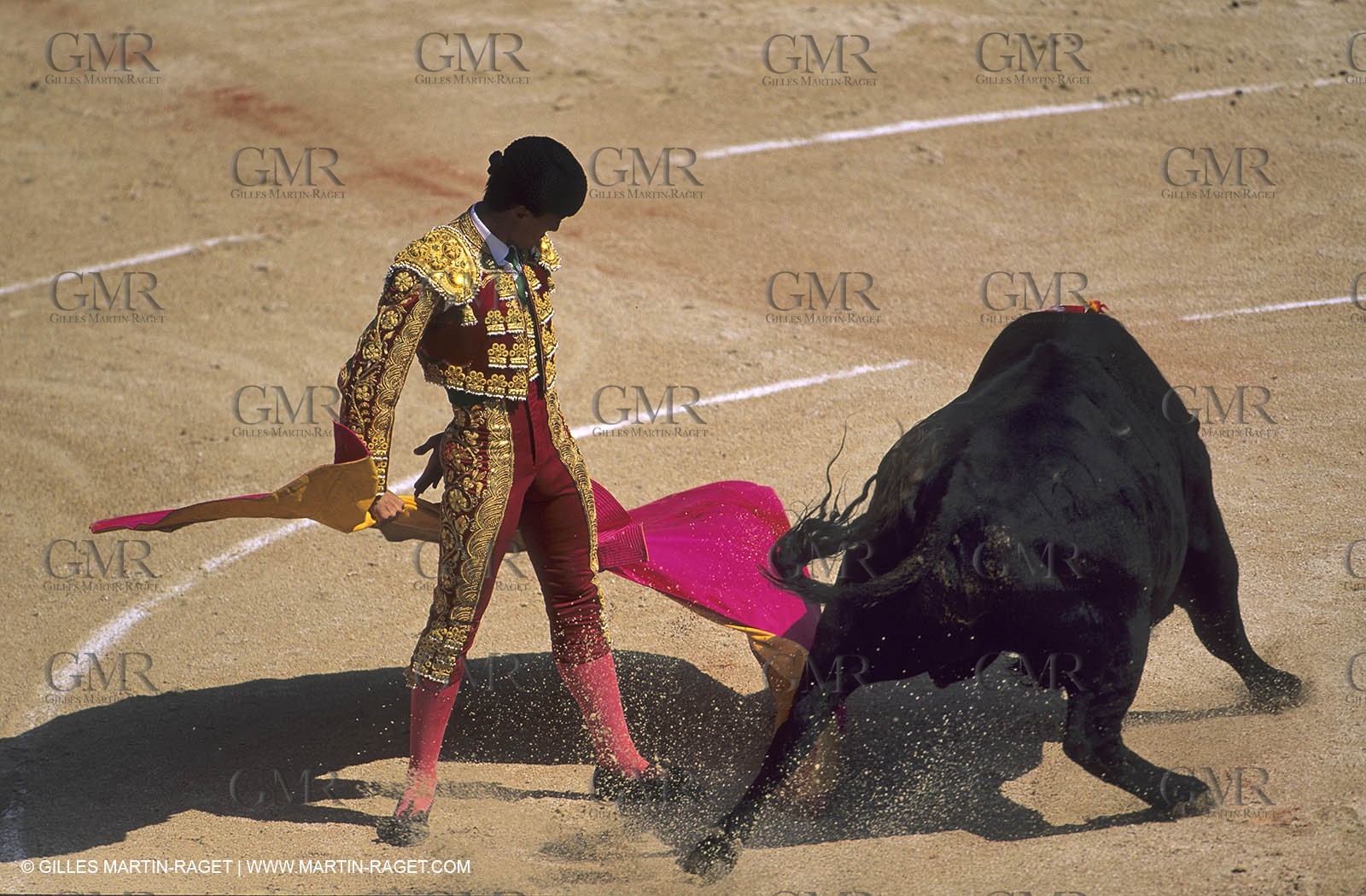 Bullfights