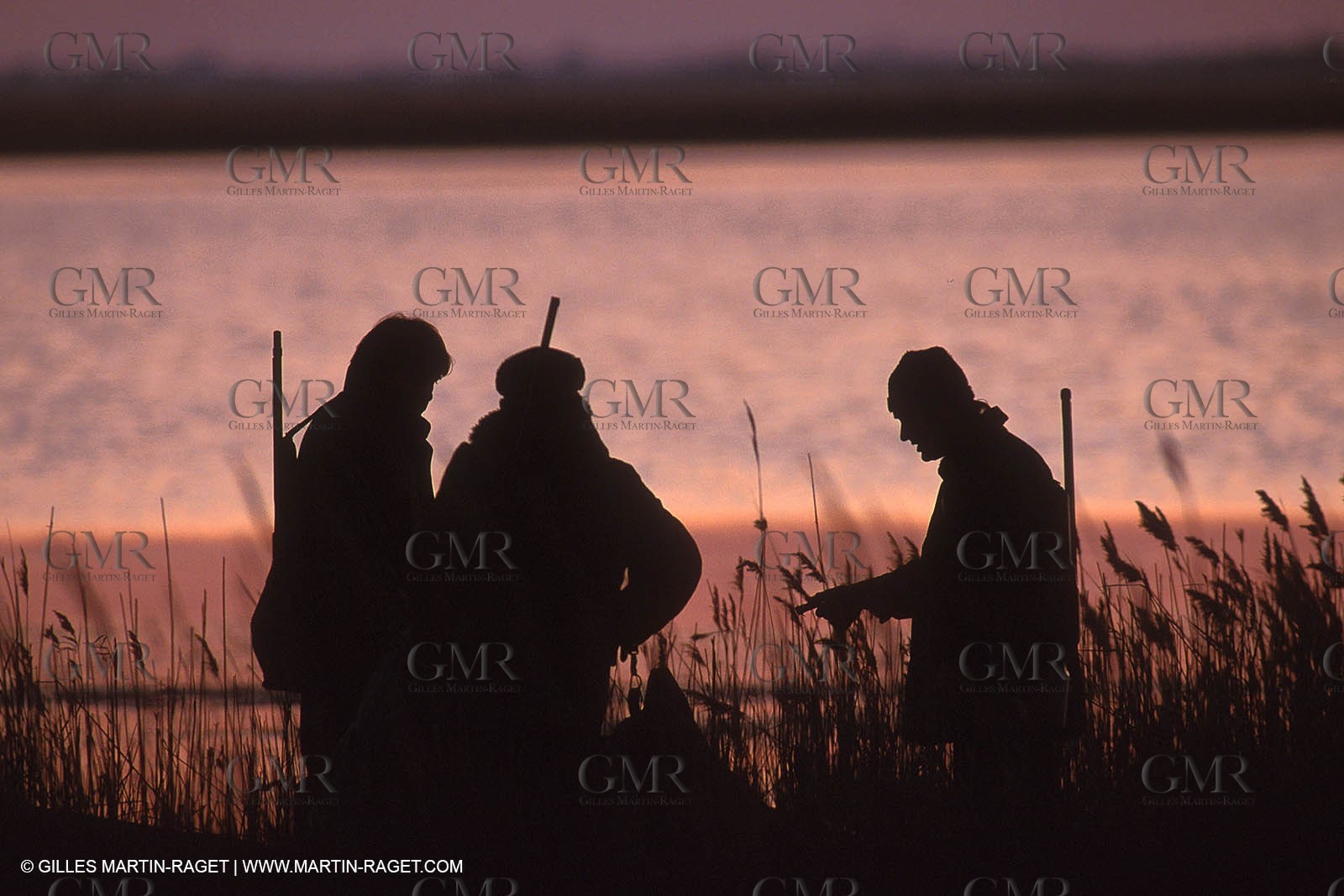 France, Provence, Camargue, Chasse, Hunting