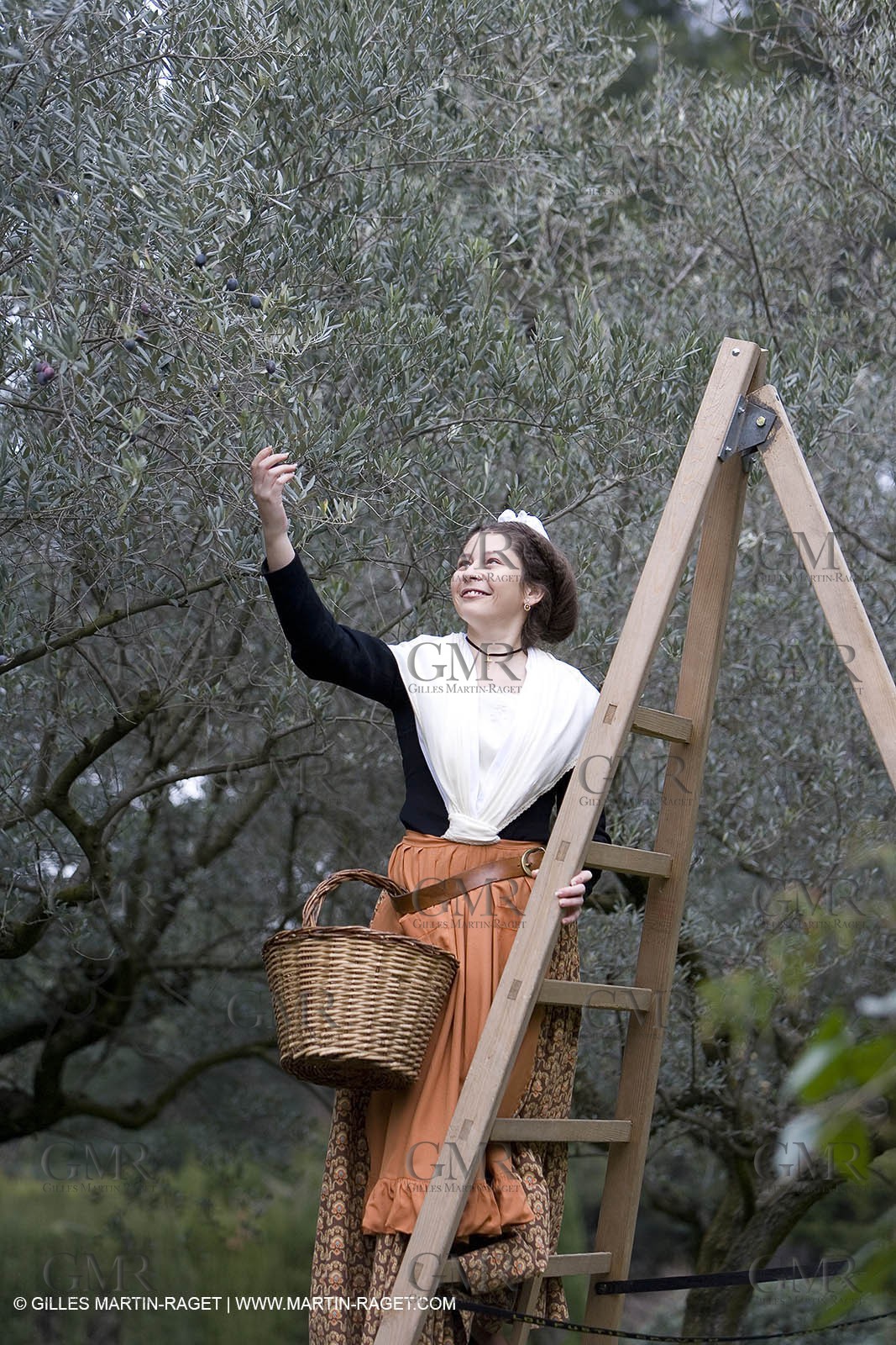 18 02 2007 - Saint Rémy de Provence - Queen of Arles in the Alpilles