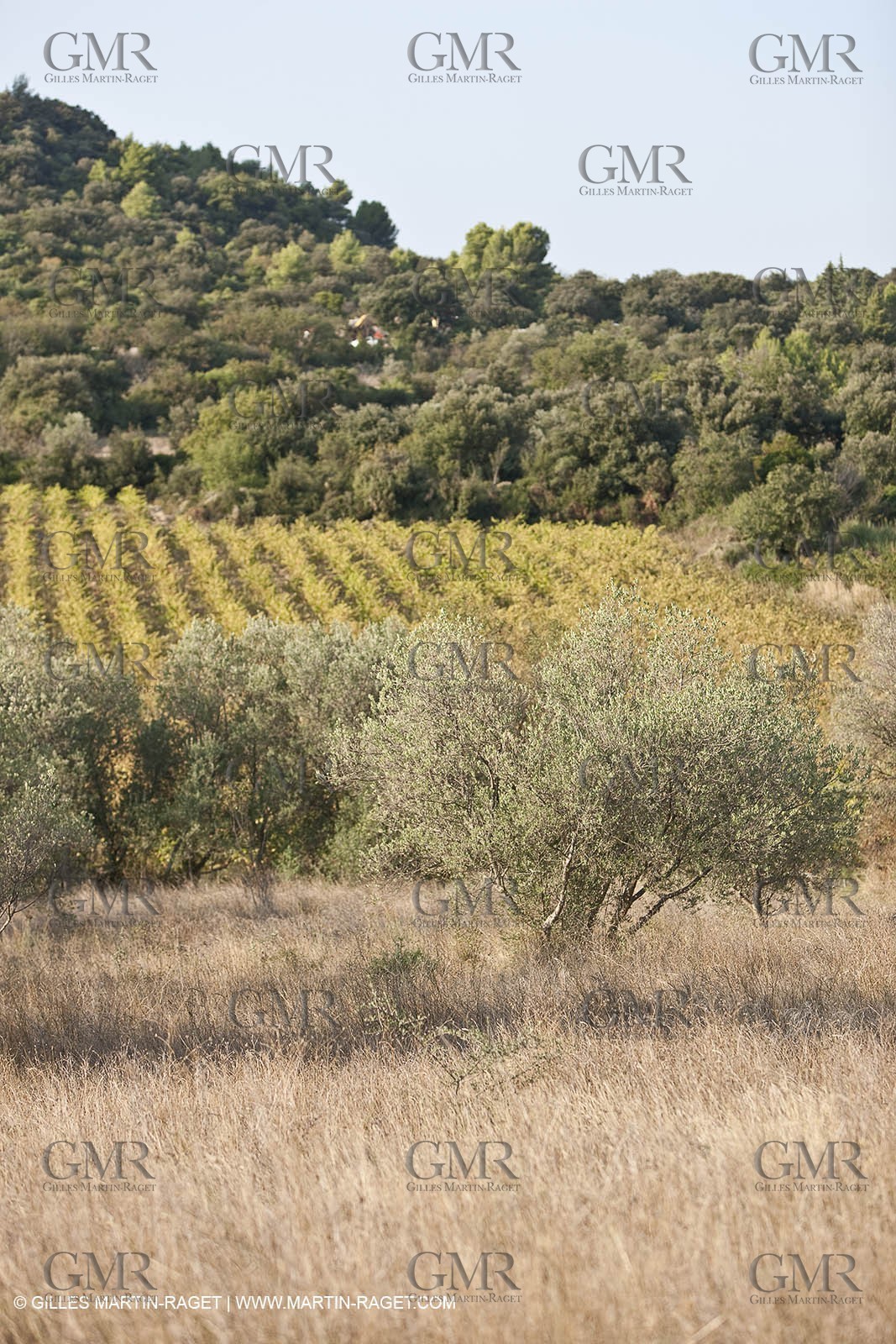 25 09 2009 - Sernhac (FRA,30)