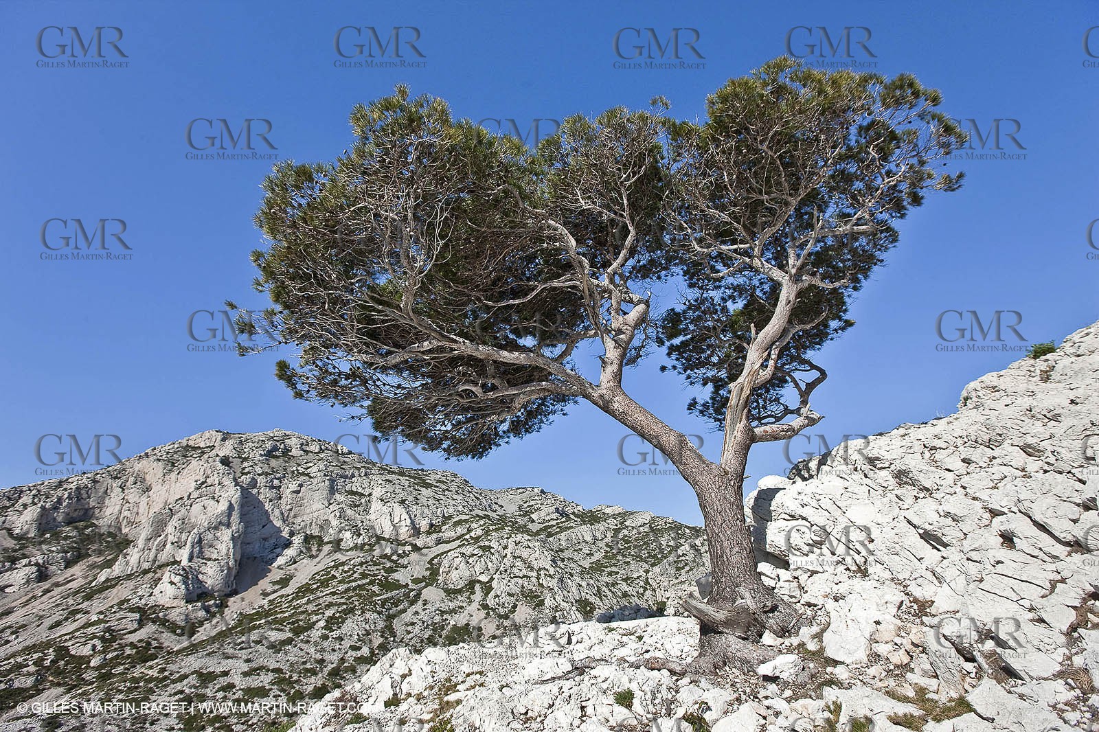 27 03 2009 - Marseille (FRA, 13) - Les Calanques - Morgiou