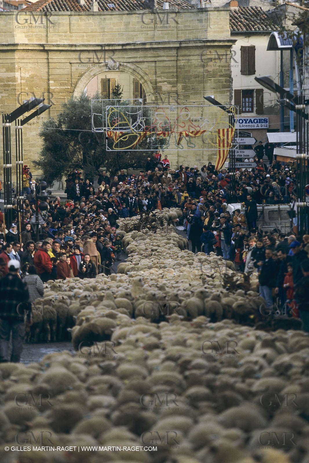 France, Provence, Moutons, bergers, élevage, transhumance