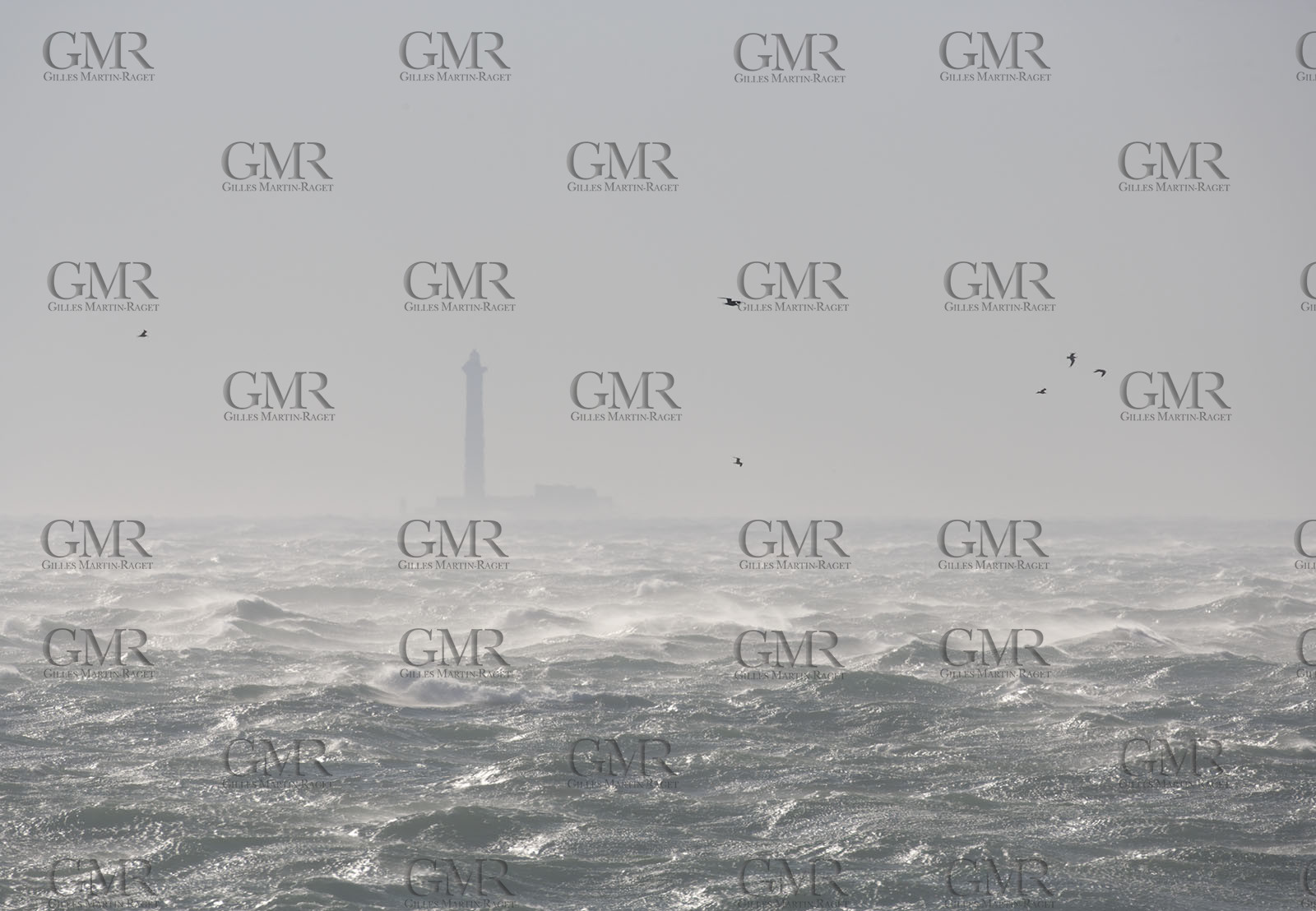 06 03 2006, Marseille (FRA), Force 10 Mistral gale