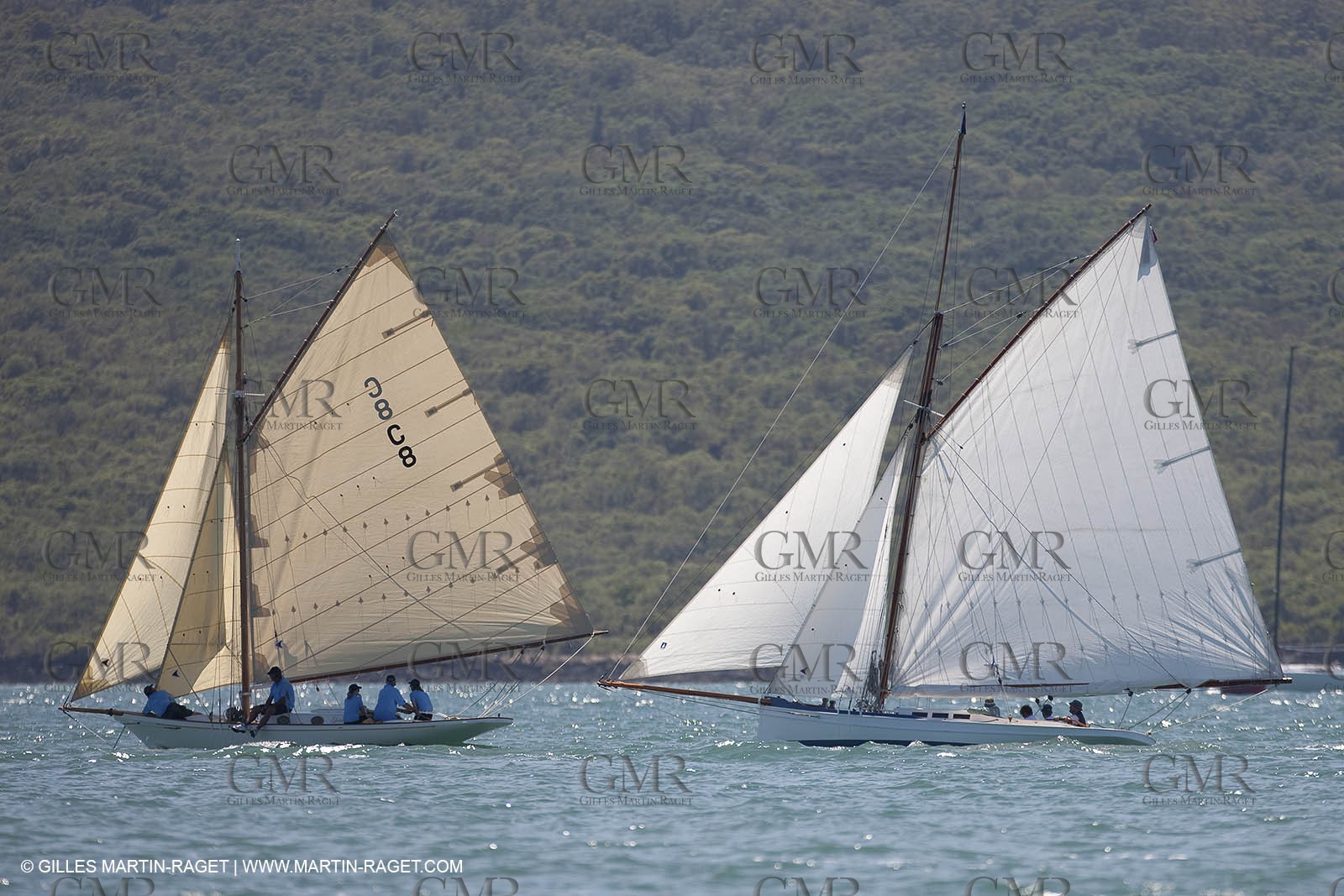 21 01 2009 - Auckland (NZL) -  Louis Vuitton Pacific Series - BMW ORACLE Racing - Training