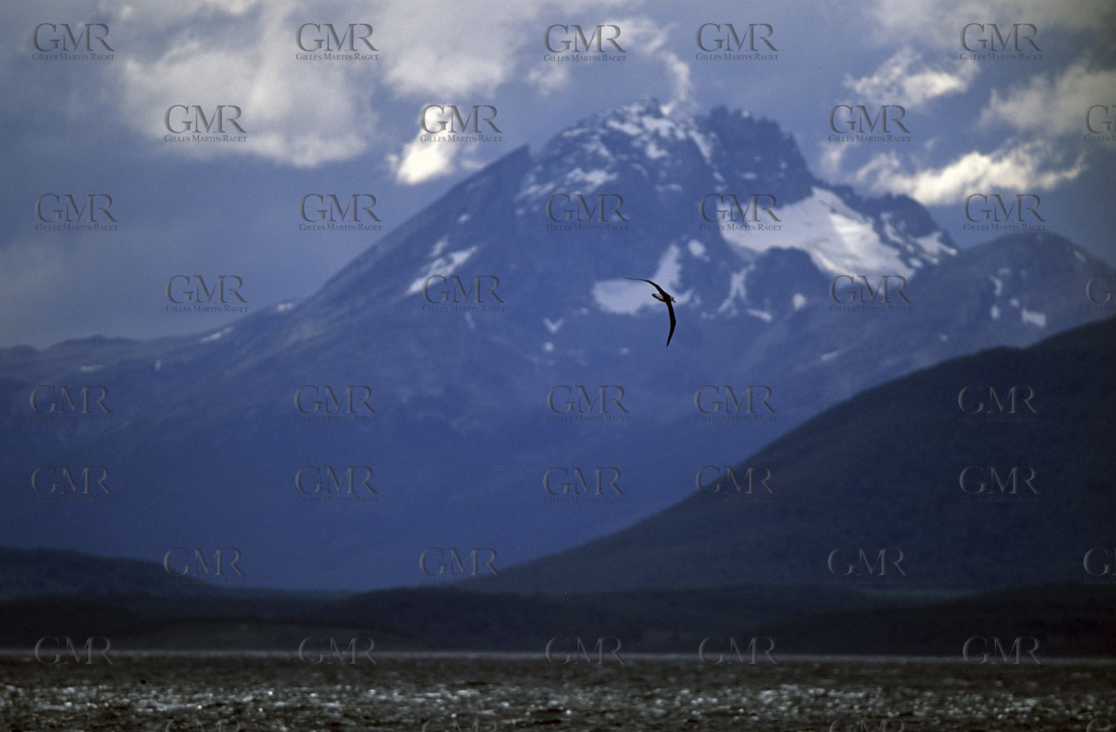 Patagonia