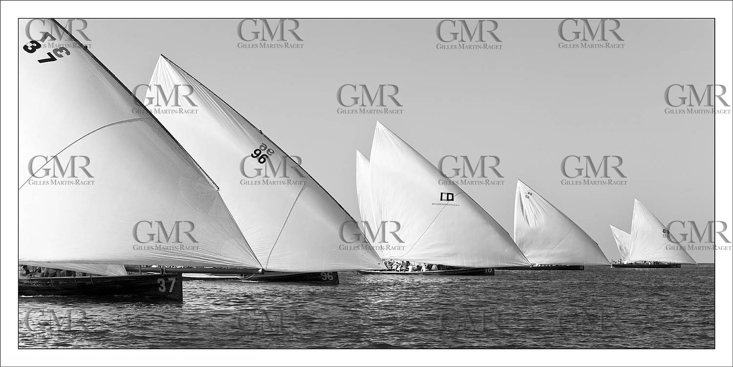 Dhow Race