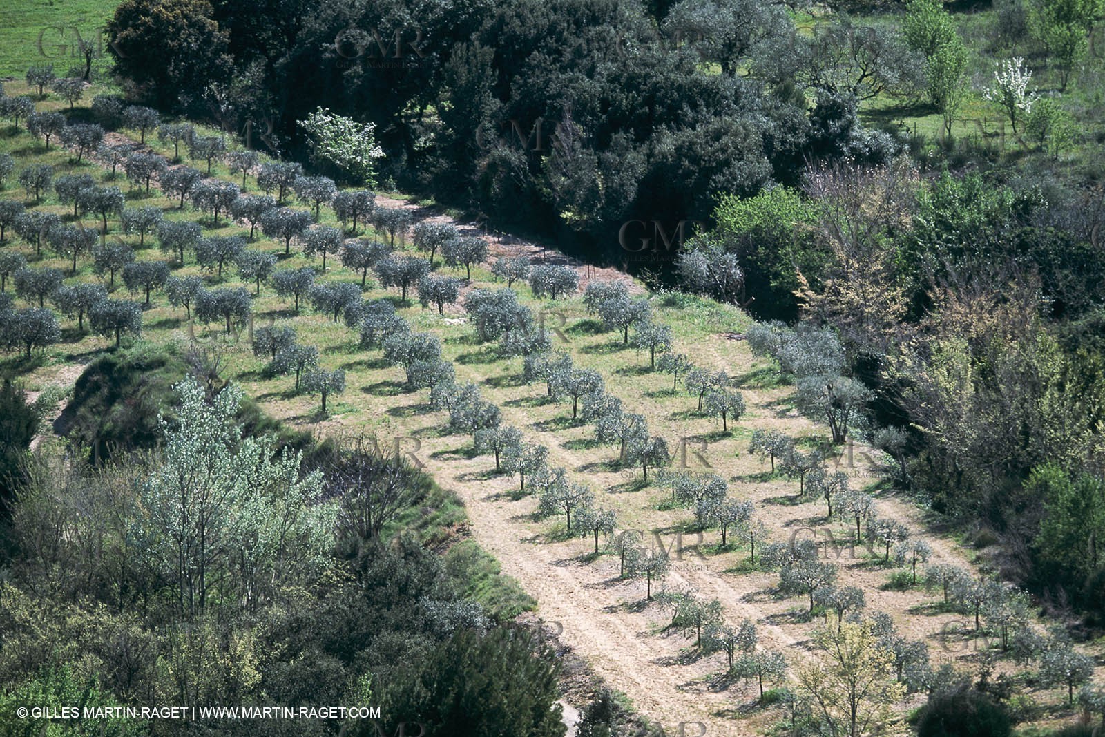 Nîmes Métropole landscapes (FRA,30) - Vaunage