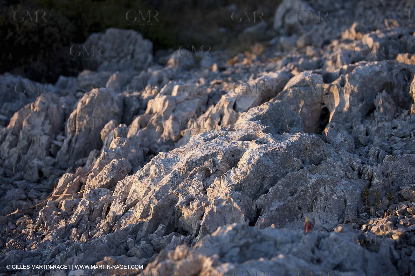 26 03 2009 - Marseille (FRA, 13) - Les Calanques - Plateau de l'Homme Mort