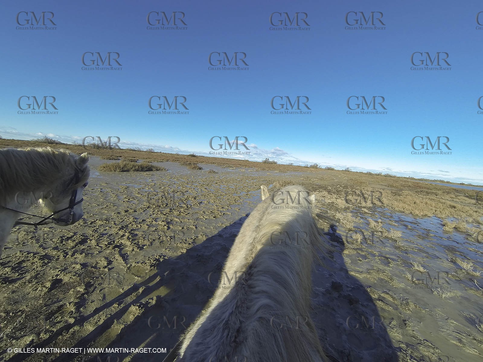 26 12 2013 - Les Saintes Maries de la Mer (FRA,13) - Horese riding at Cabanes de Cacharel